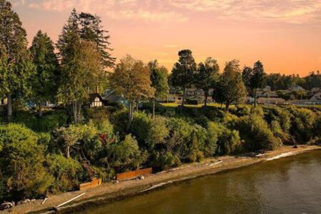 Birch bAy Frame, Oceanview, Beach Access, 3 beds, 1 bath view 4