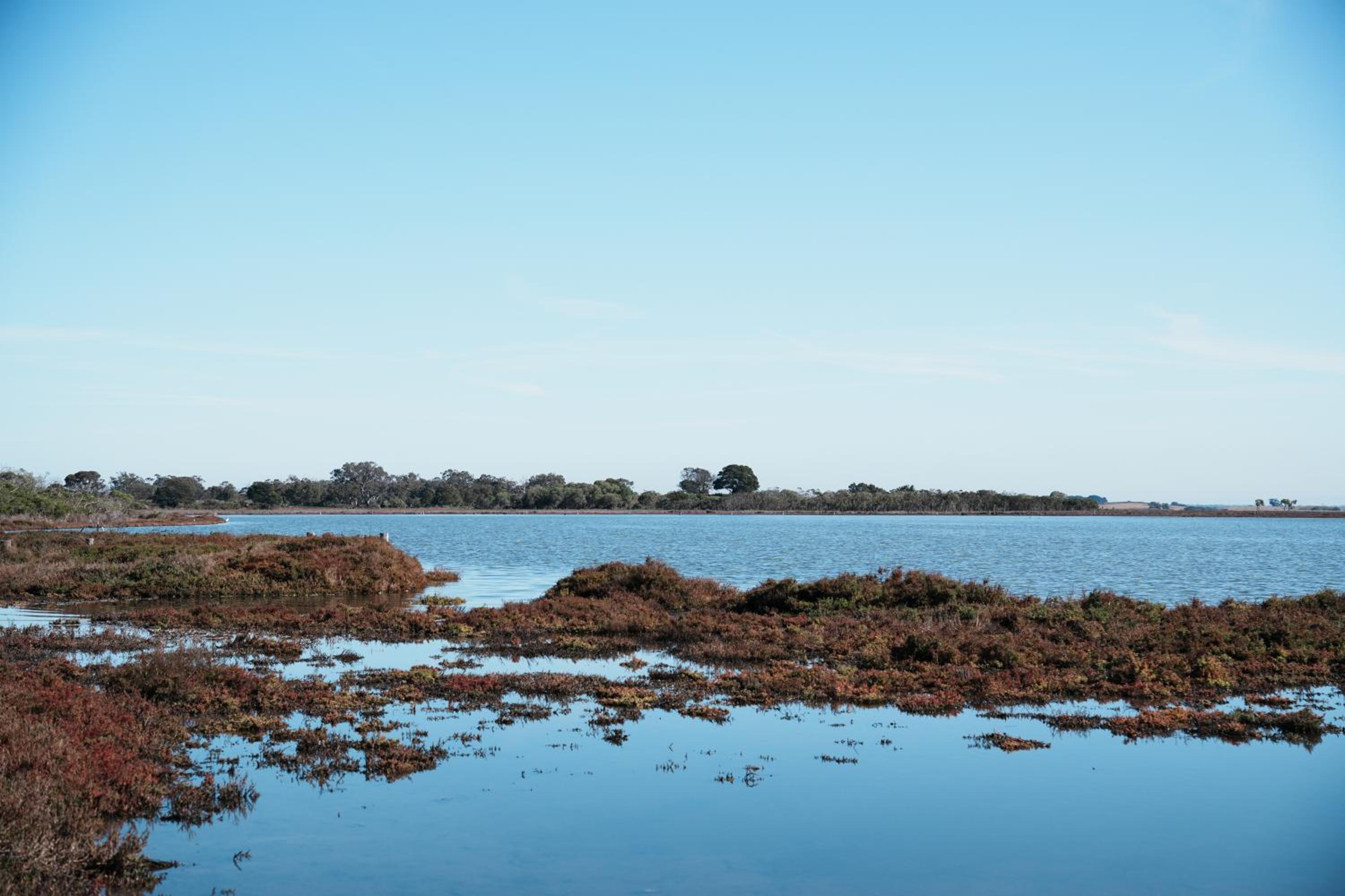 Roseneath Holiday Park