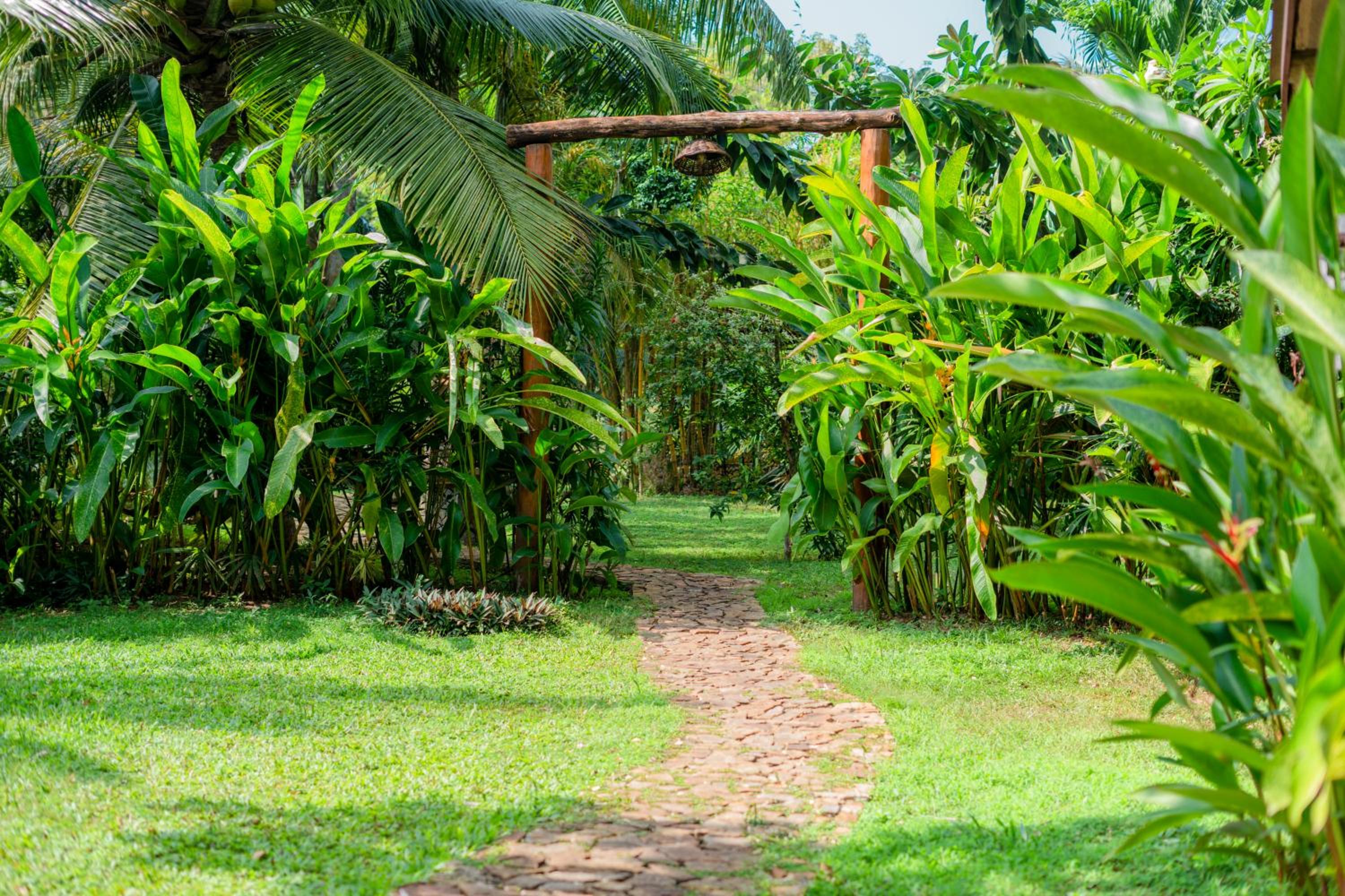 Villa Lanka Relax view 5