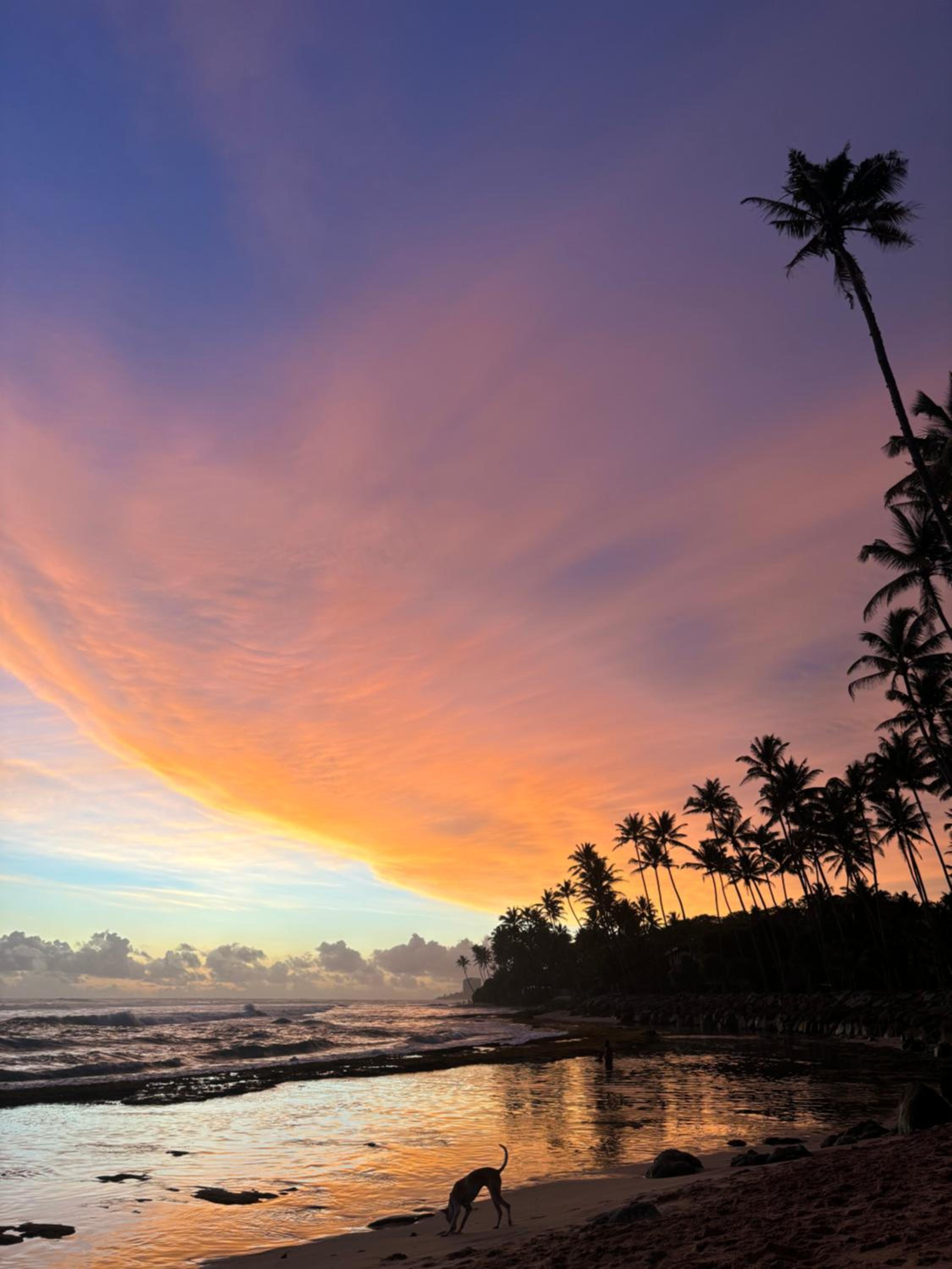 Surfside Madiha
