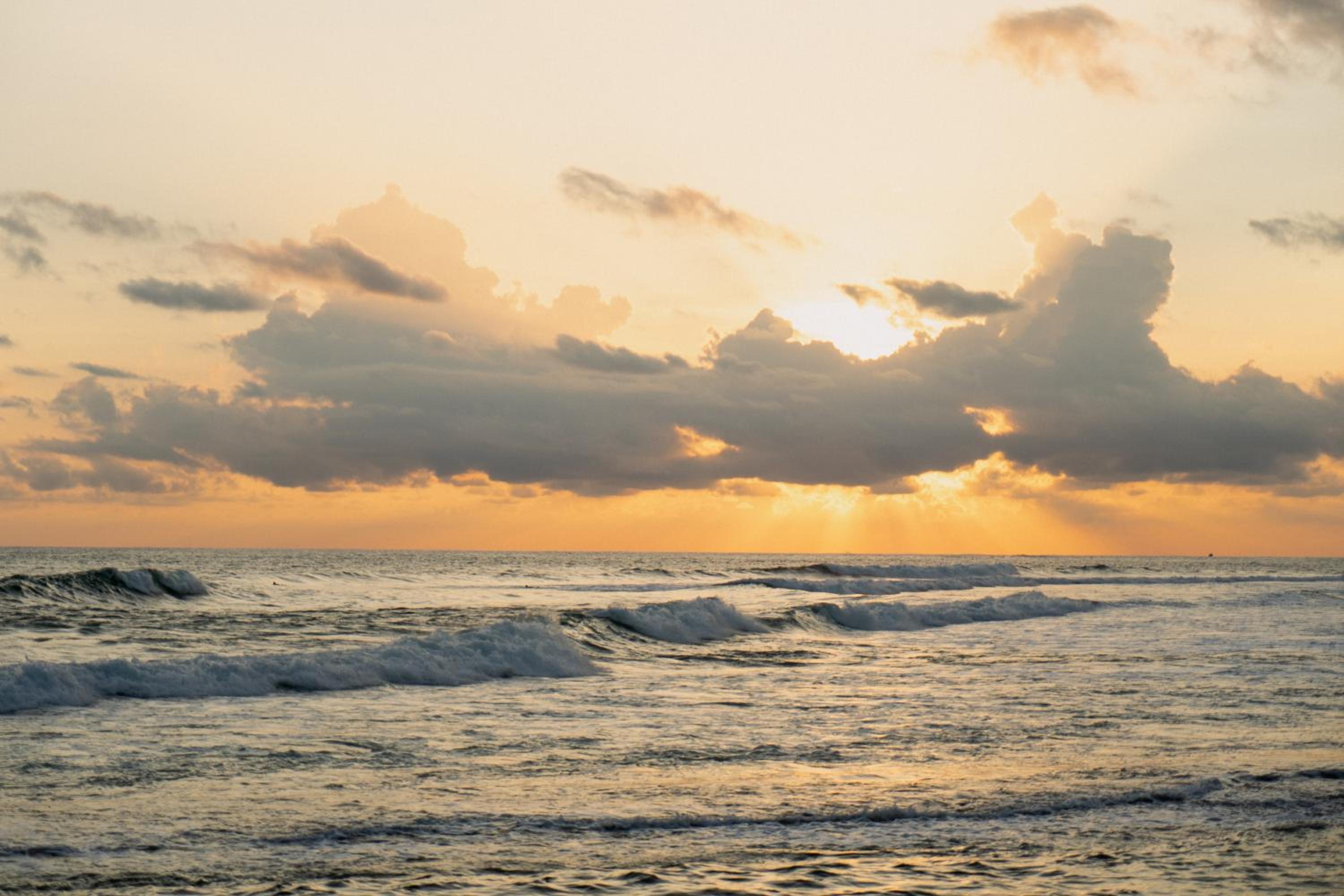 Surfside Madiha