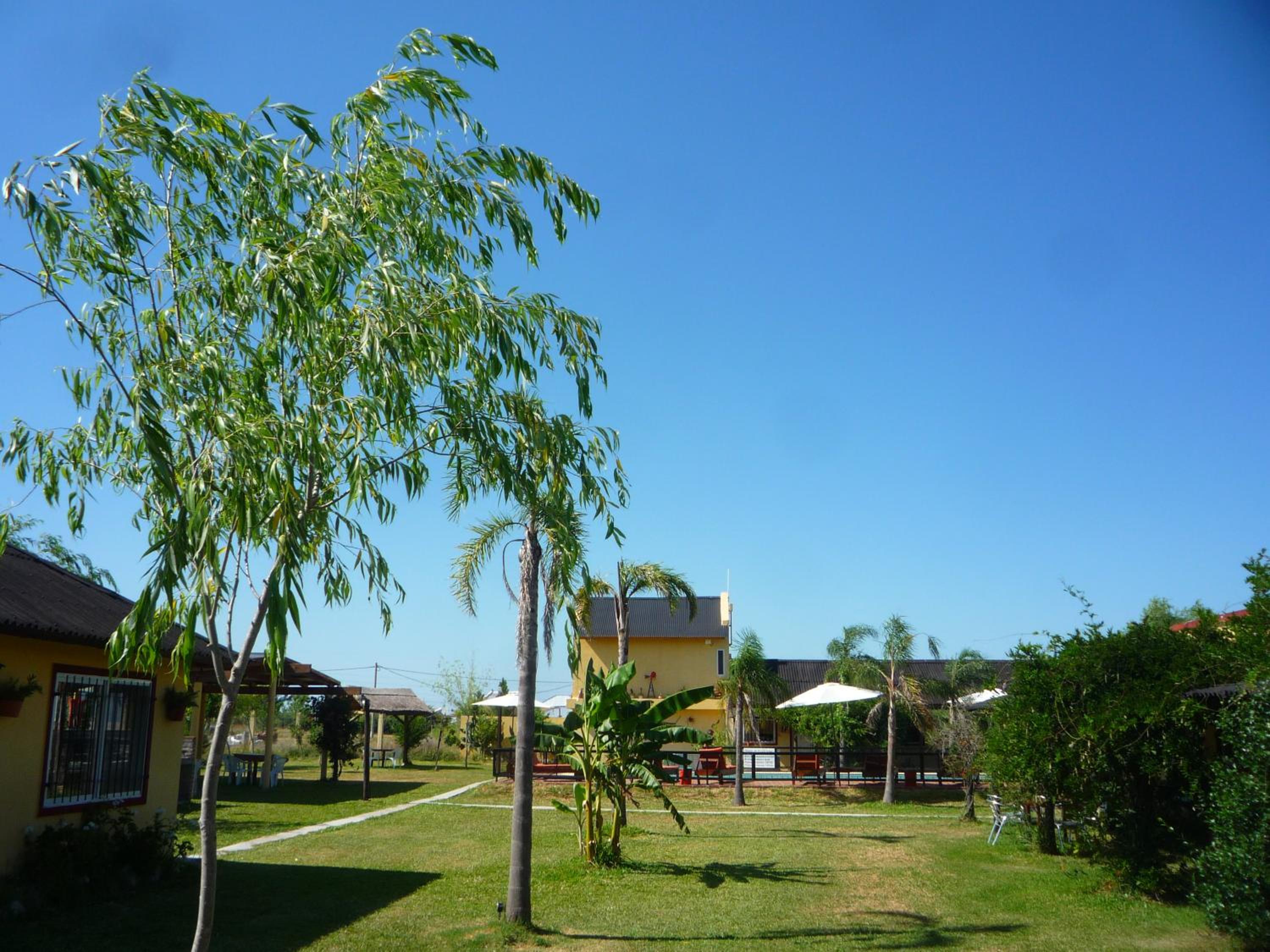 Complejo Molino de las Termas