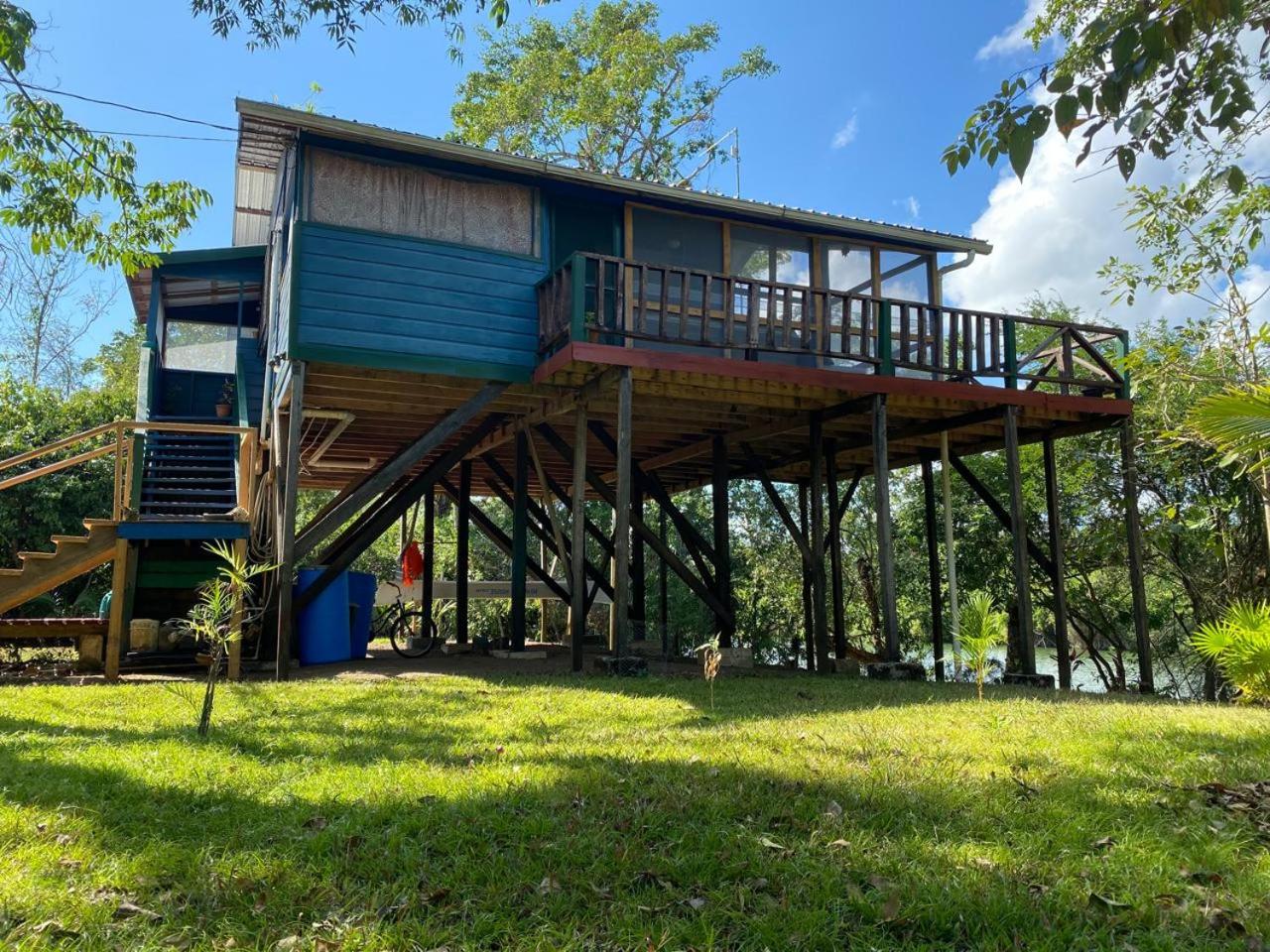 Howler Jungle House and Cabanas