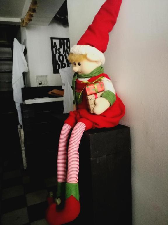 Photo 50