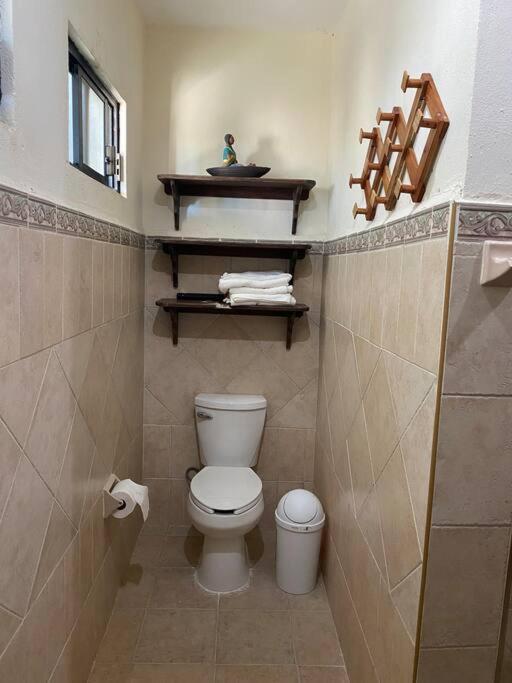 Photo 41