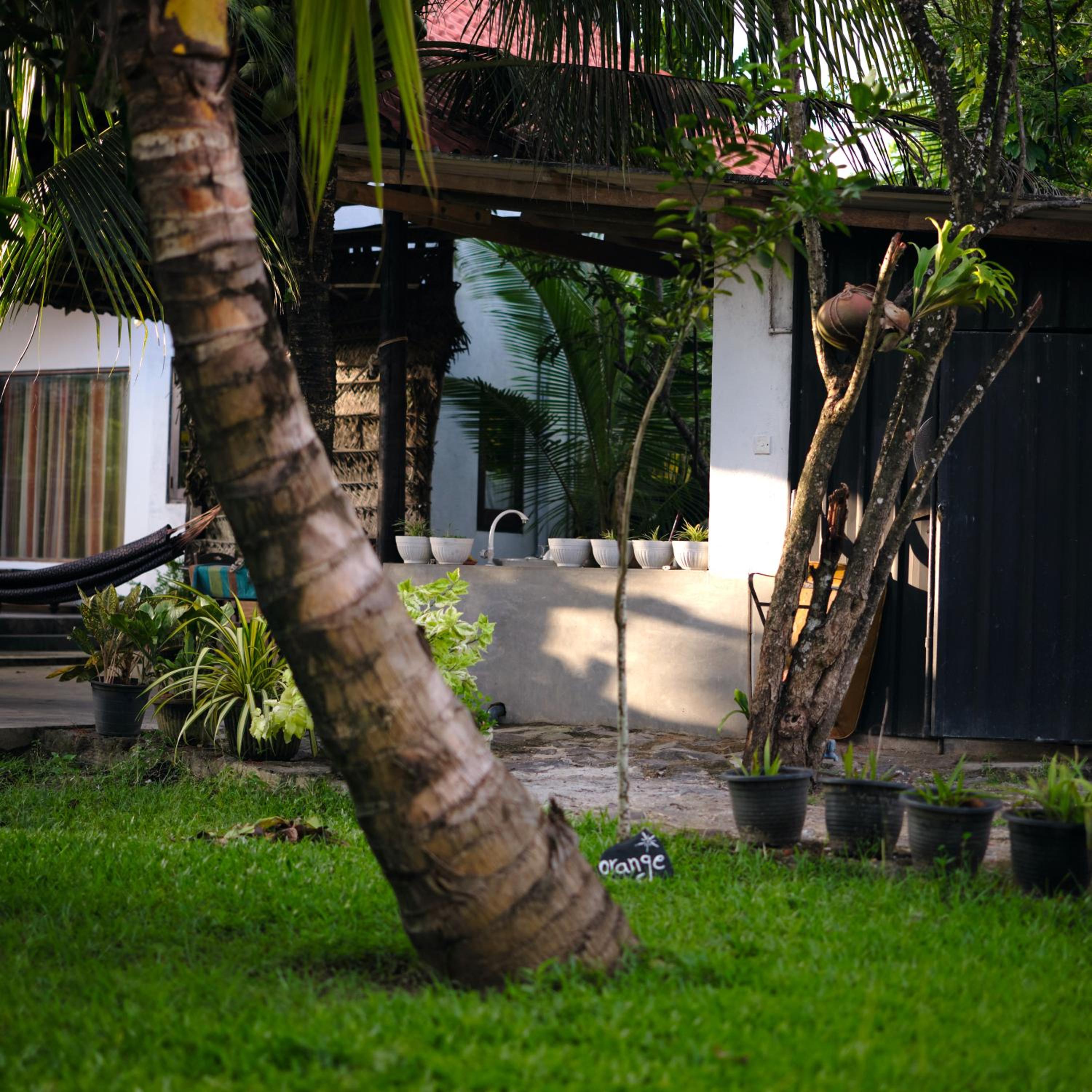 Photo 21