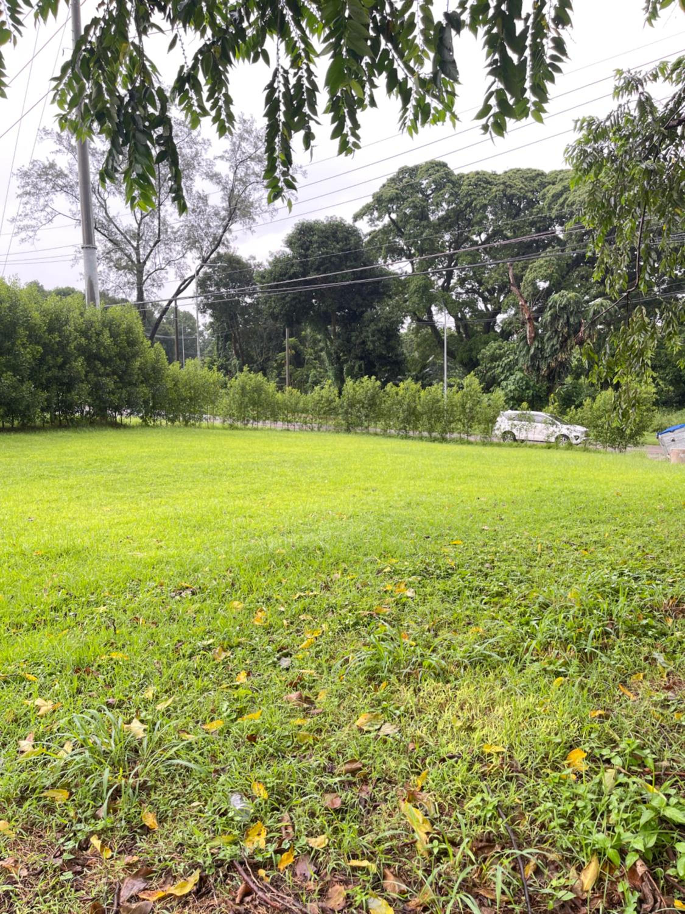 Photo 40