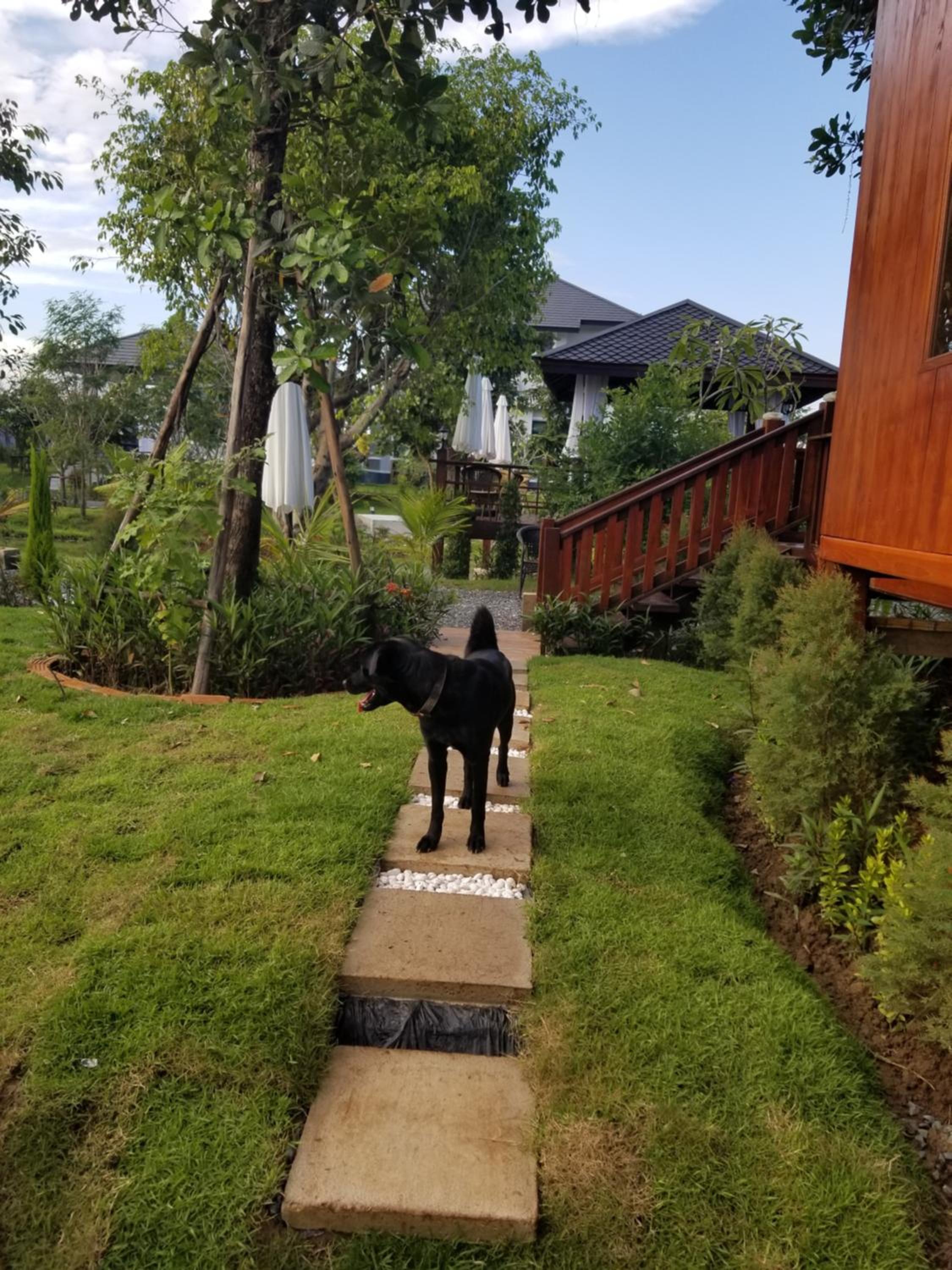 The garden pool villa resort at Doi Saket