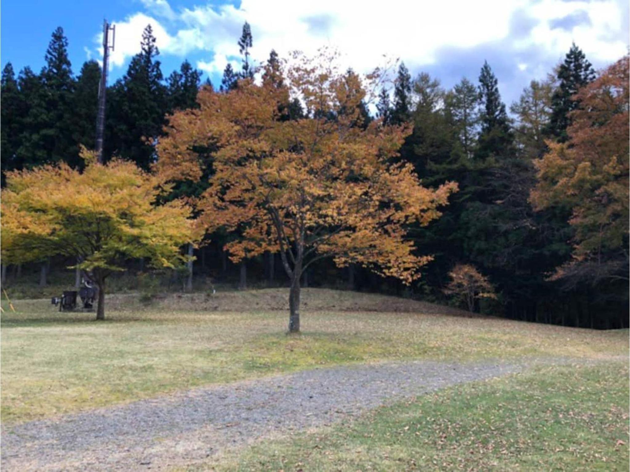 Photo 30
