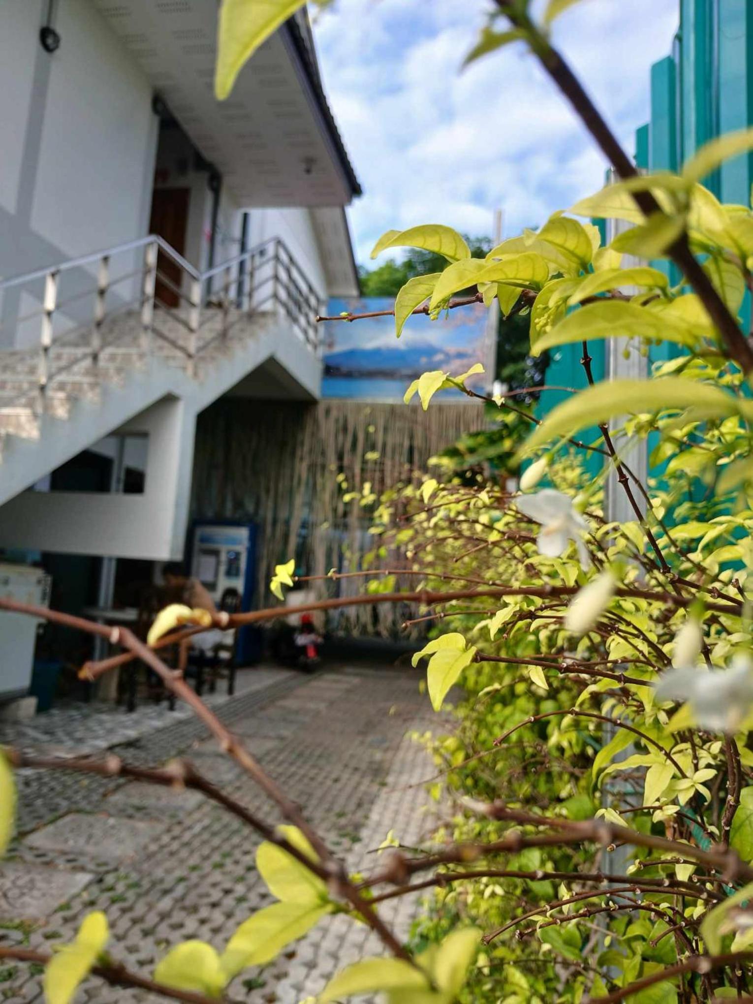 Sakura House