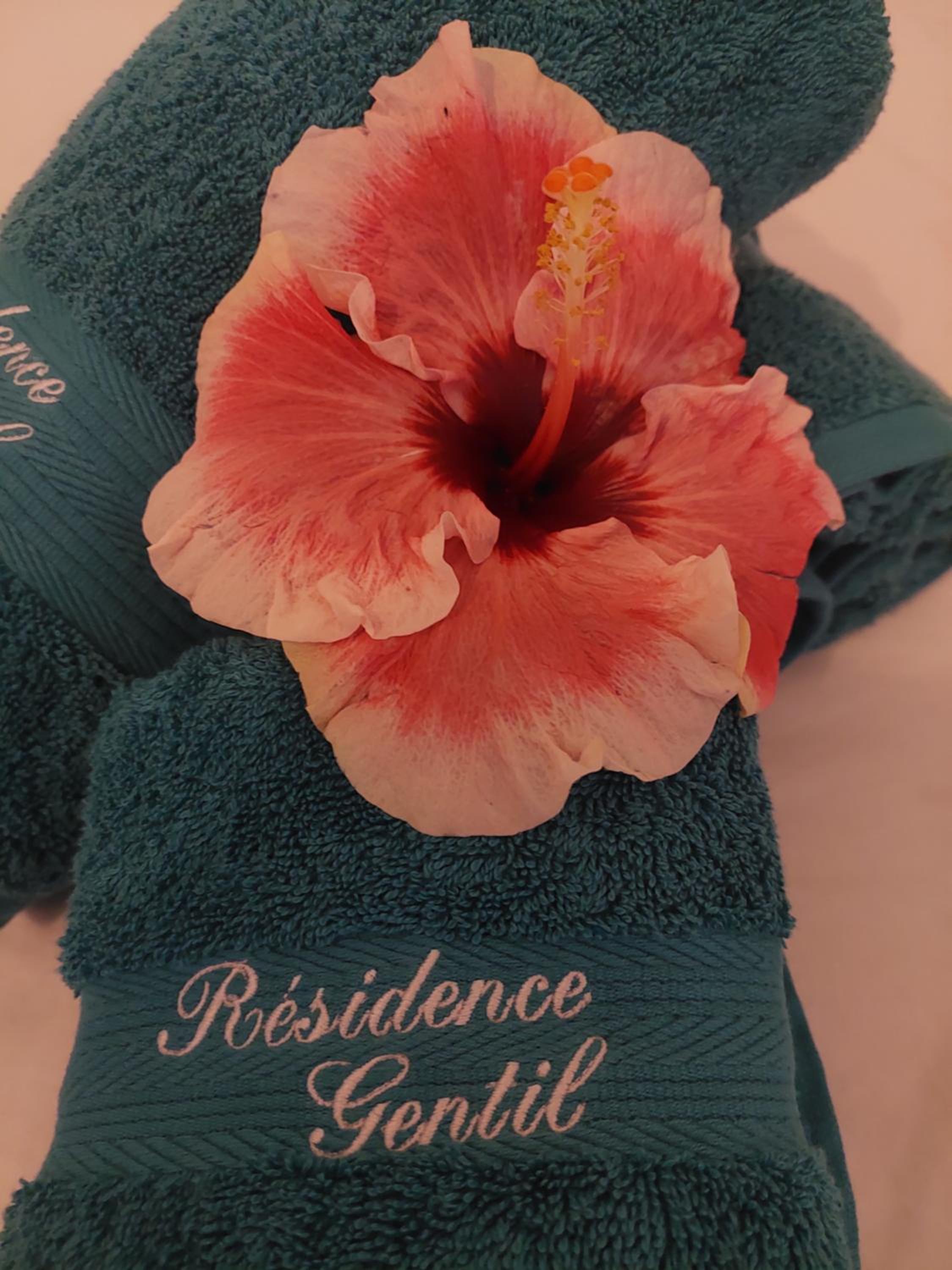 Résidence Gentil
