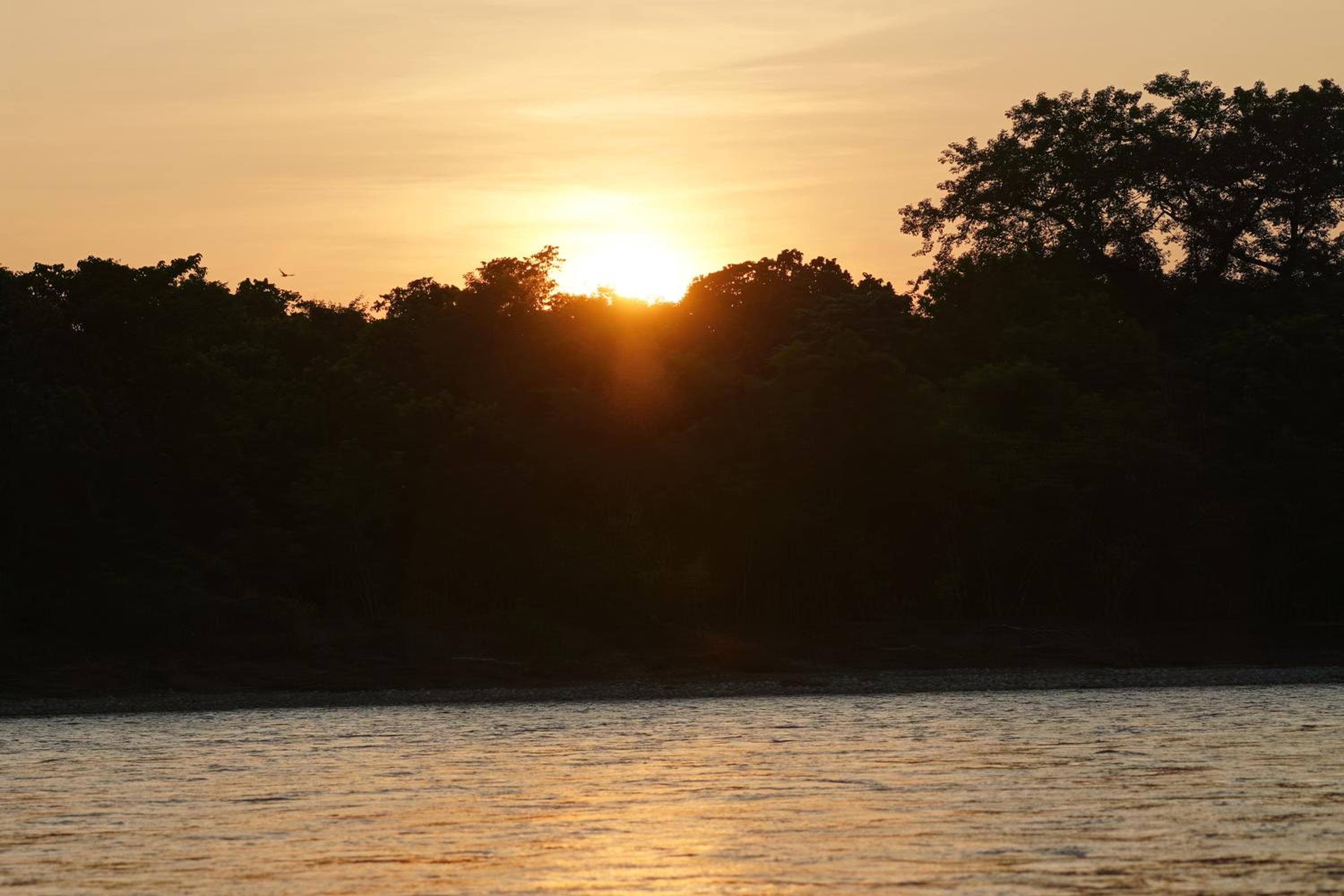 Wildflow jungle yoga safari and homestay view 5