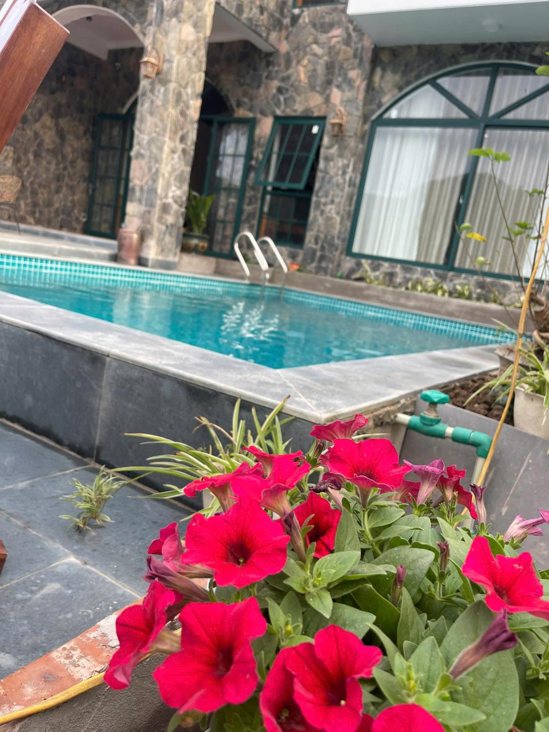 Tam Coc Mountain View Homestay
