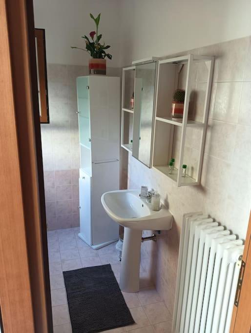 La Magnolia di Ravenna photo 3