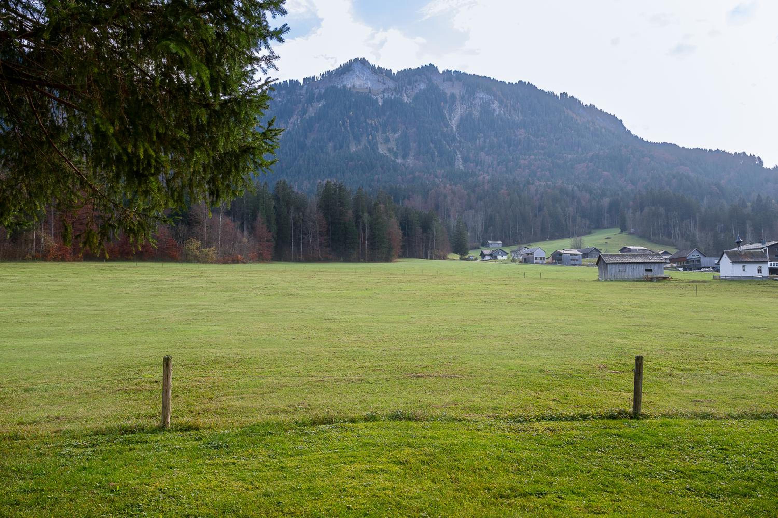 Haus Alpina view 3