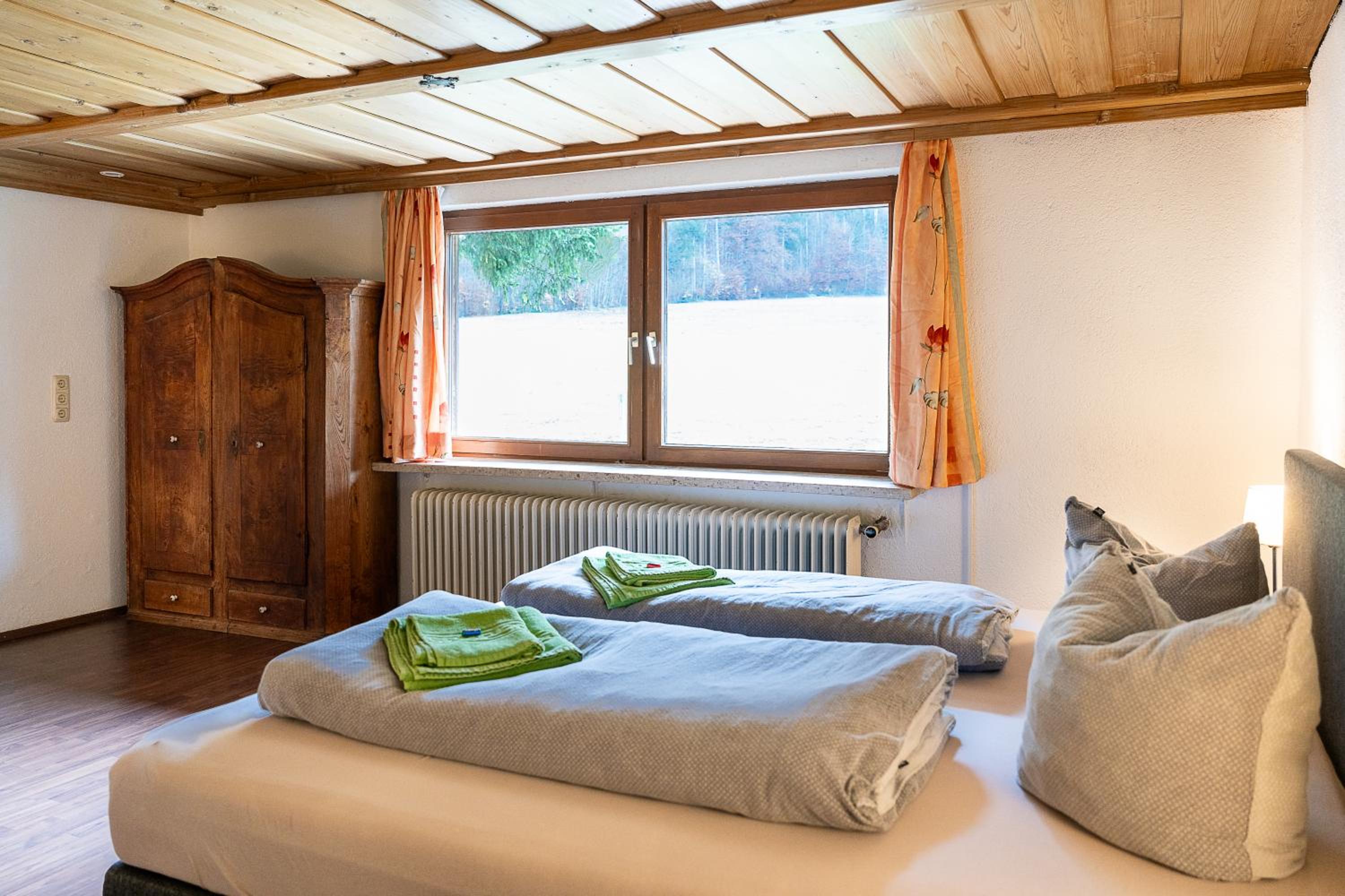 Haus Alpina view 5