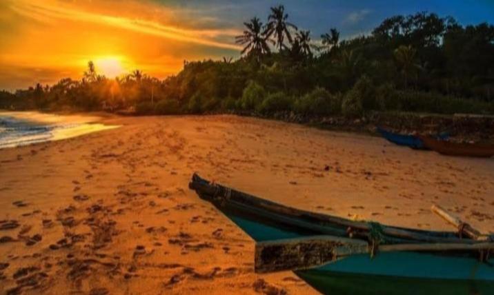Chico Green - Tangalle view 3