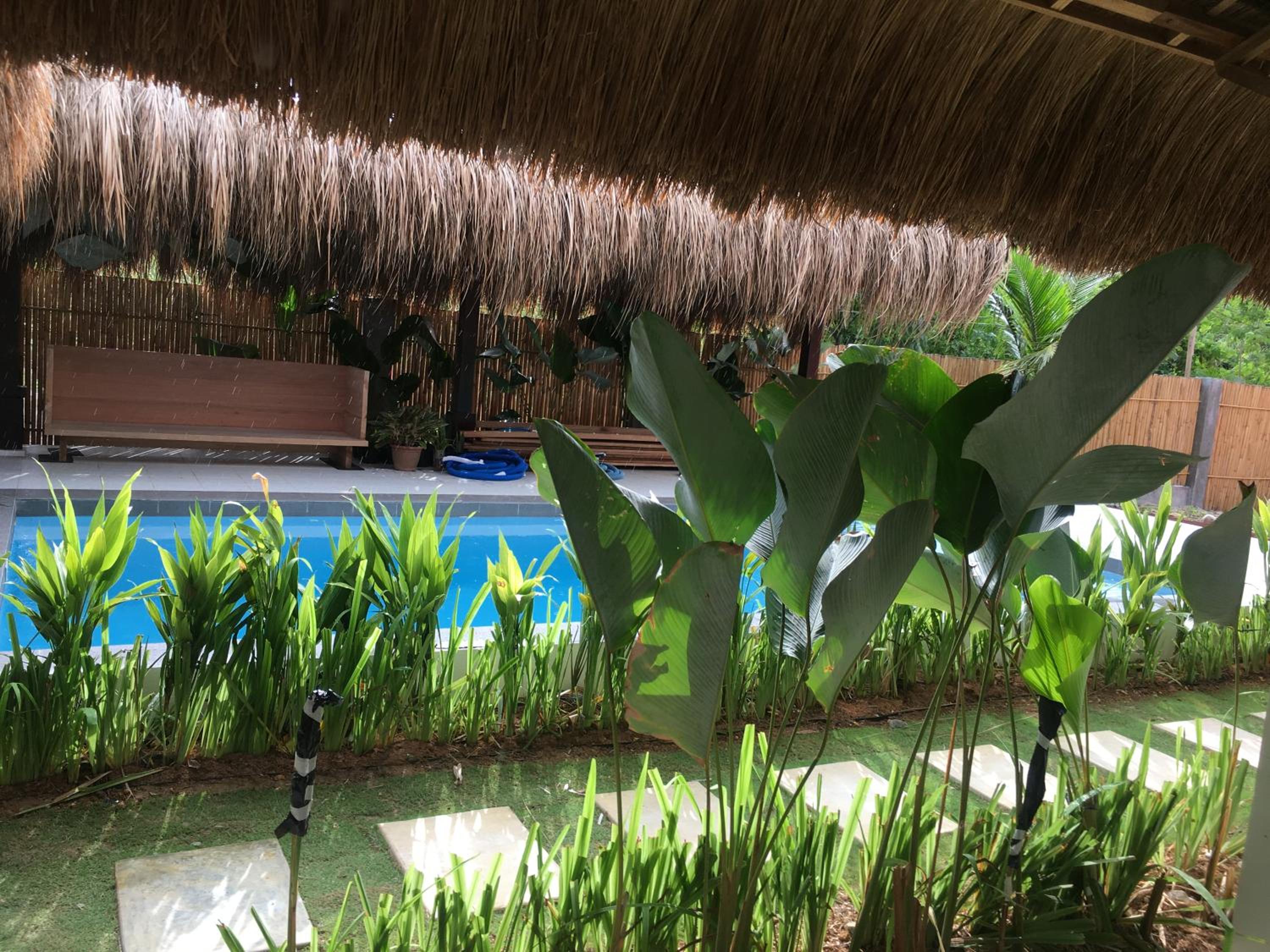 Terra Siargao