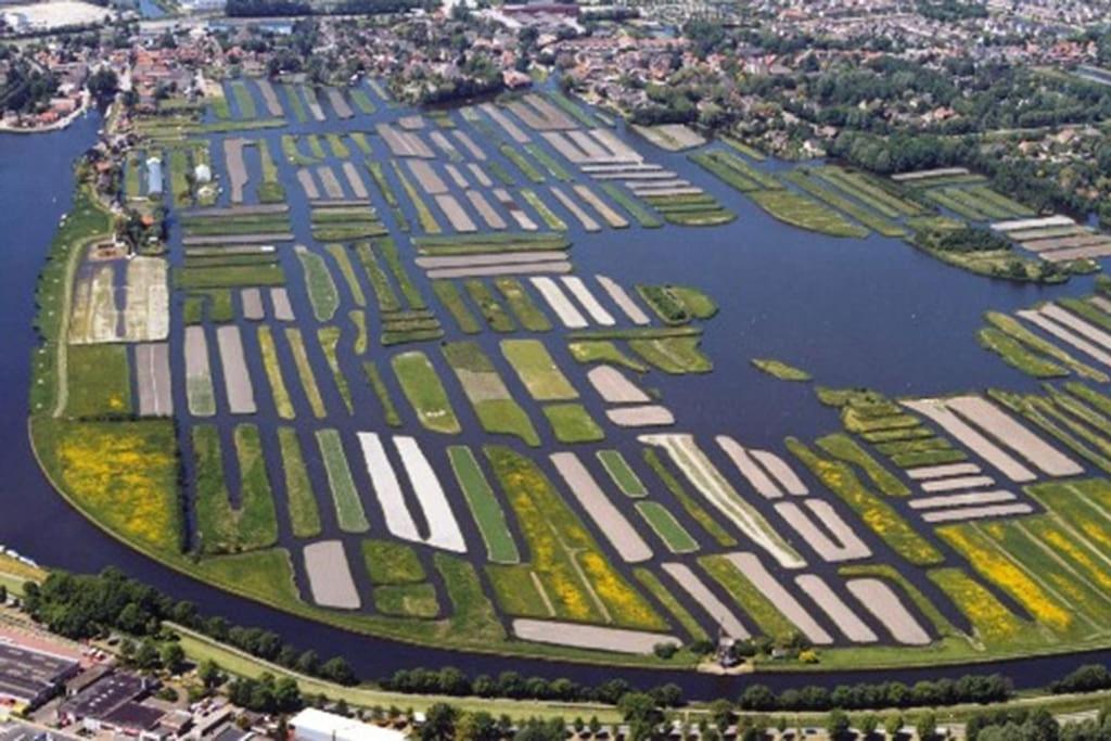 Hart van Langedijk view 4