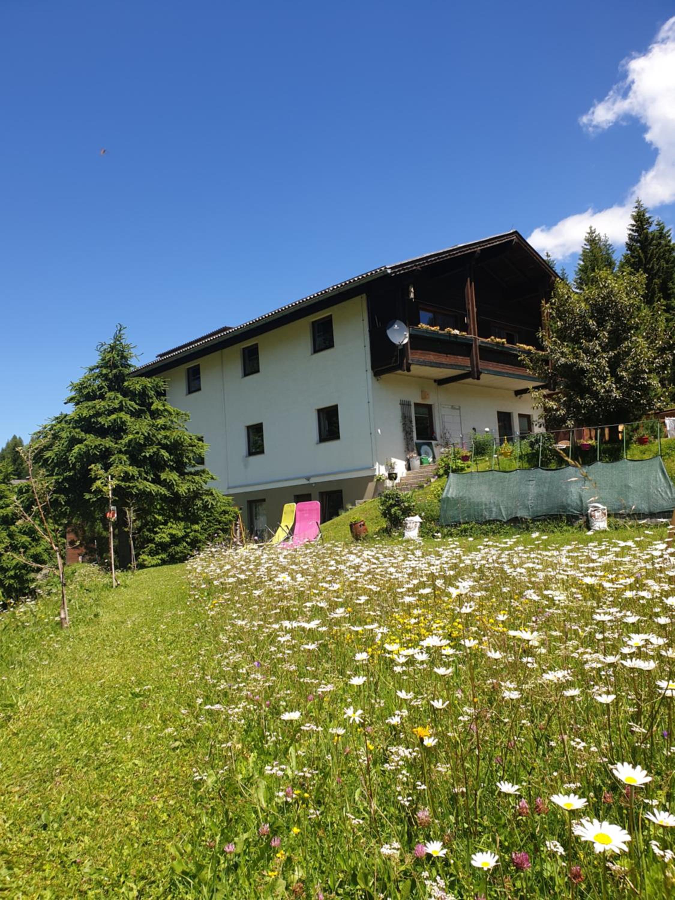 Ferienhaus Schäfer - Apartments - Wintersports - Family holiday - Holiday with your dog - Rural & Scenic