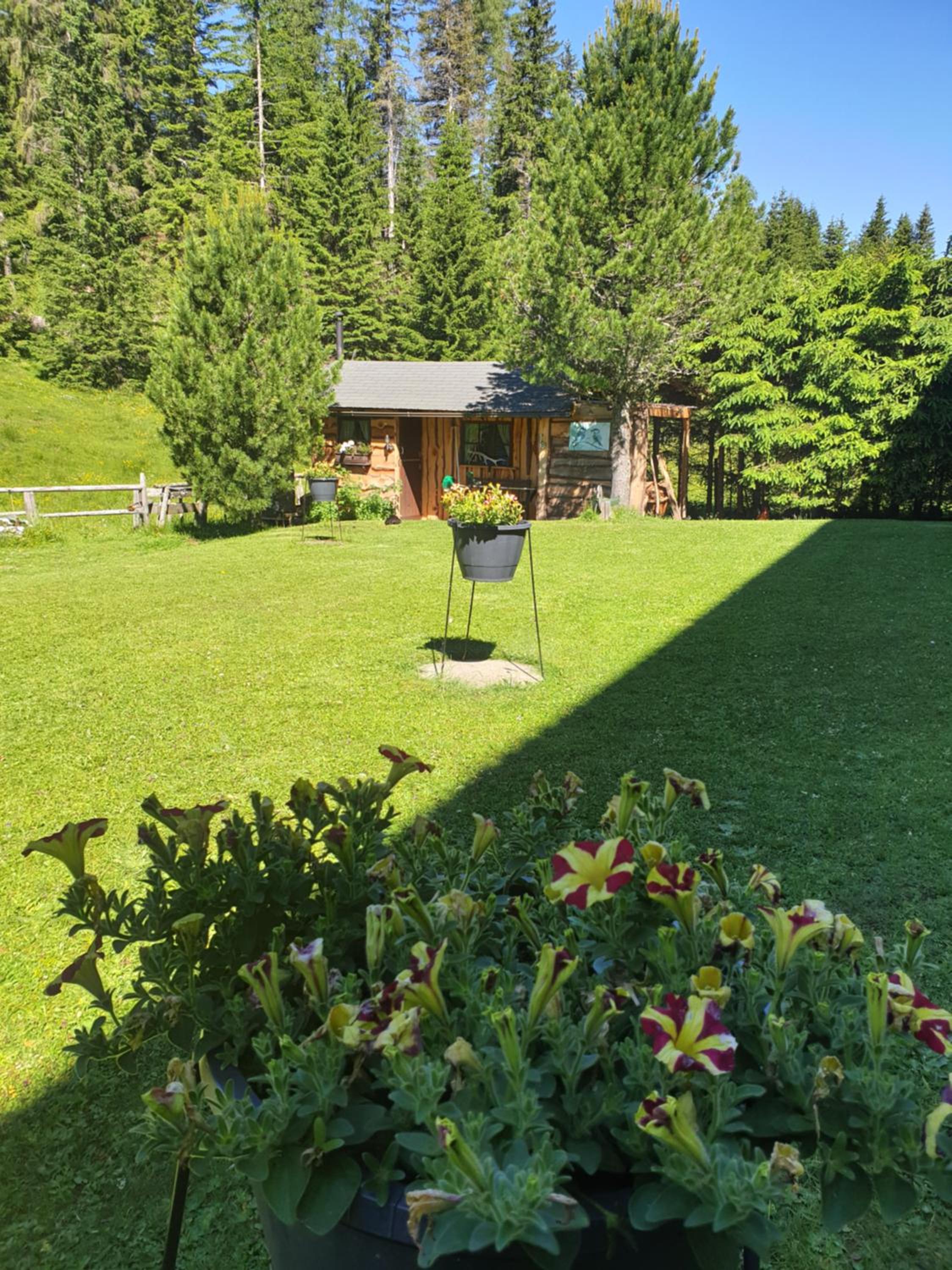 Ferienhaus Schäfer - Apartments - Wintersports - Family holiday - Holiday with your dog - Rural & Scenic