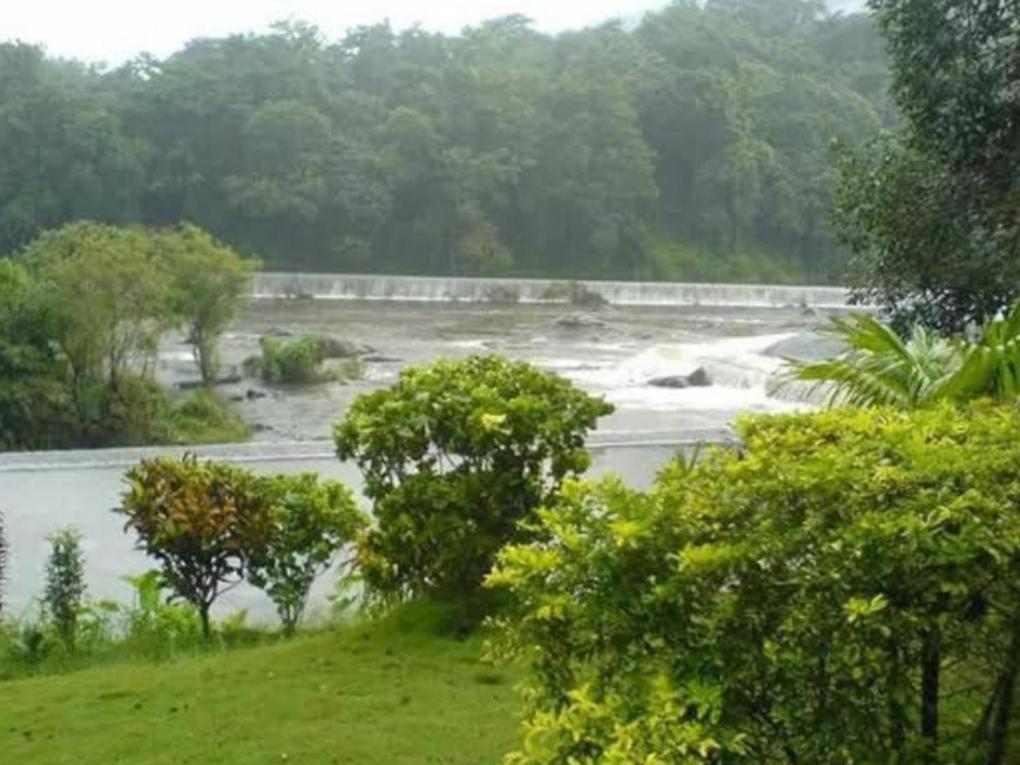 Nest Resorts view 2