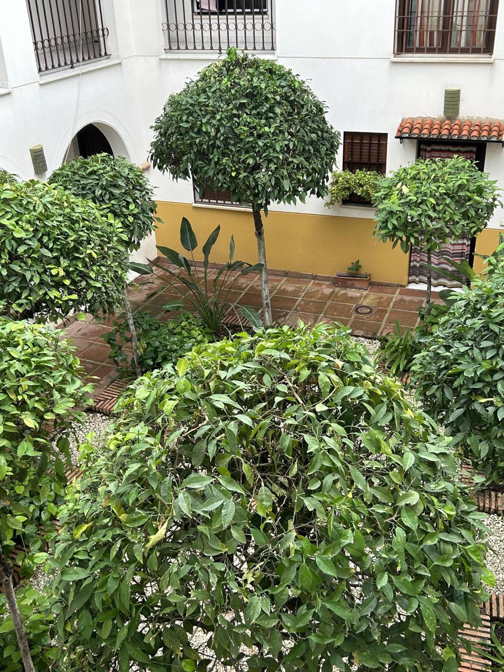 AT Alcántara