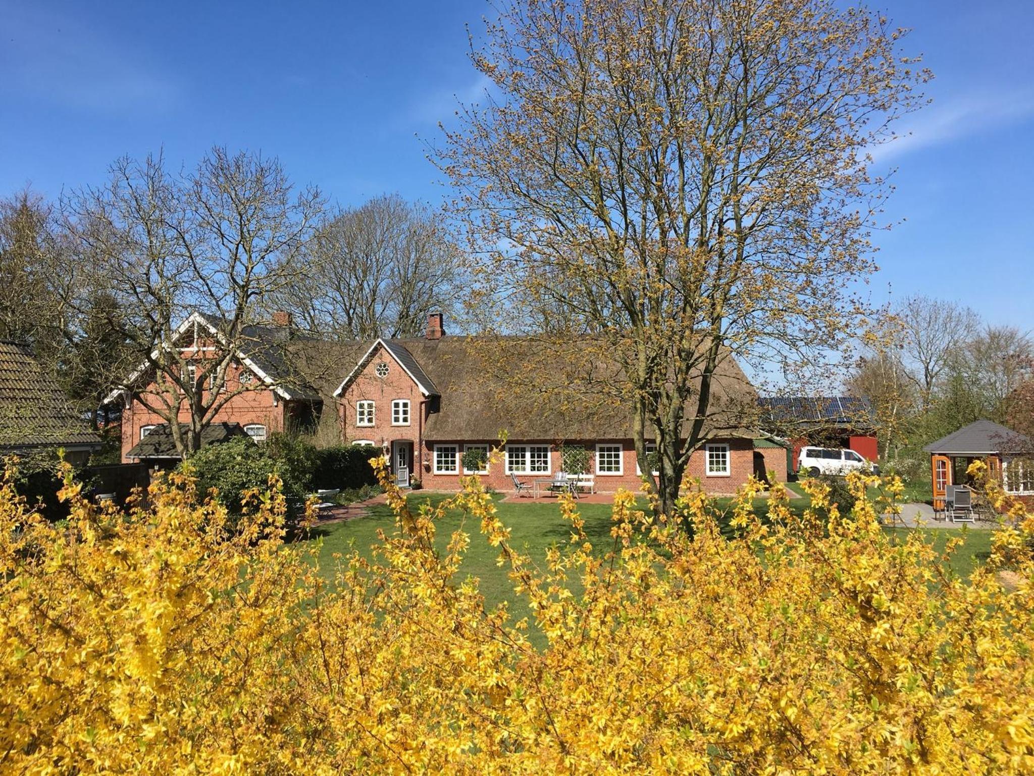 Ferienwohnungen Alte Schule Klintum