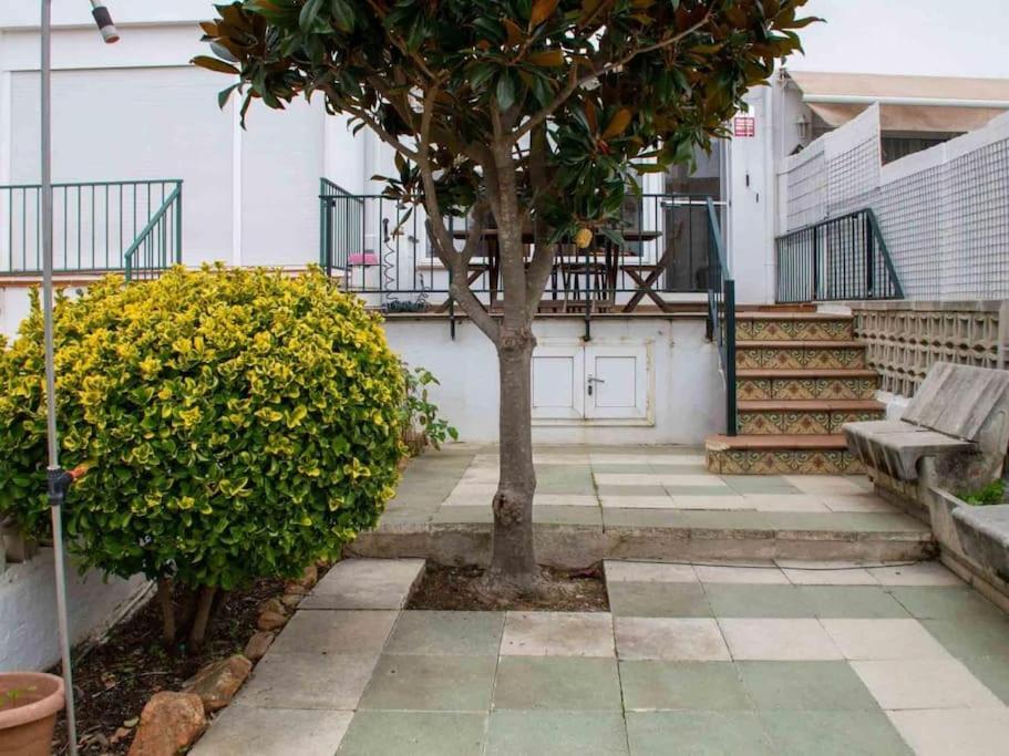 Winahost Costa Brava Sa Caleta
