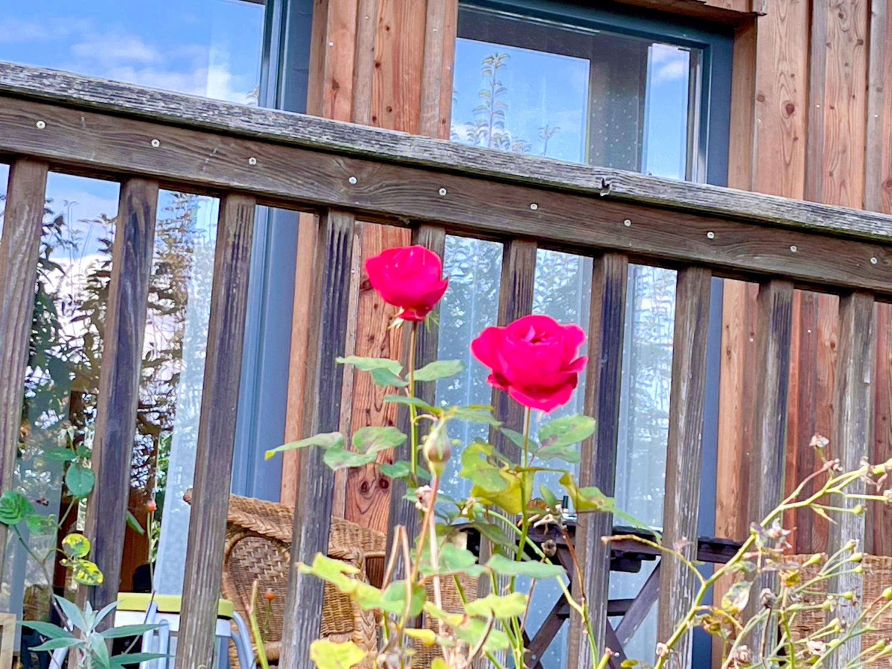 Chalet Attersee - ganzes Ferienhaus, Seeblick, Kamin, Sauna