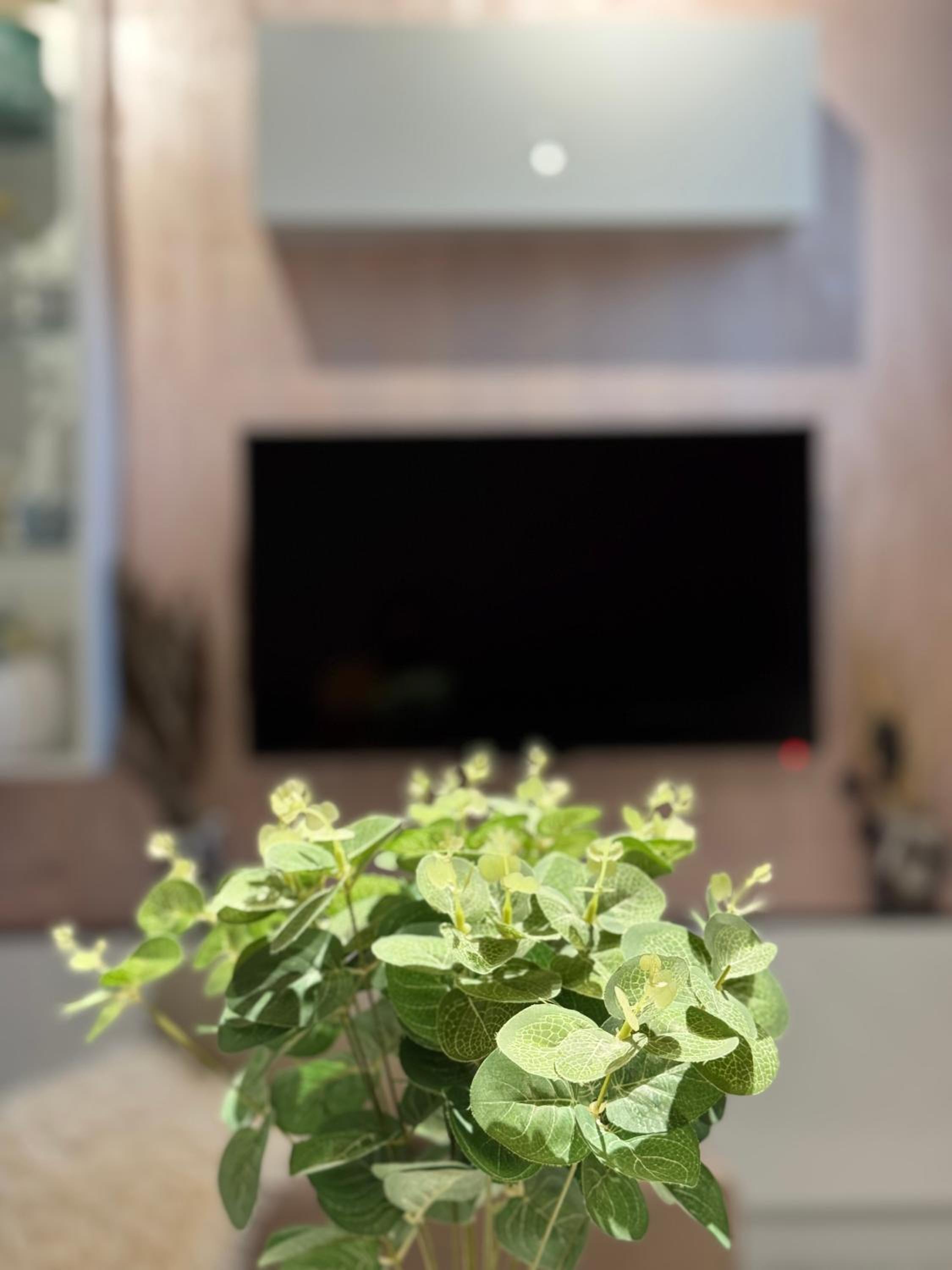 Mishko cozy apartment