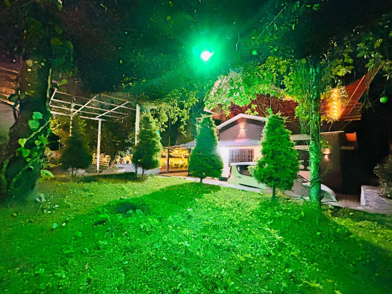 Wild Villa Homestay view 3