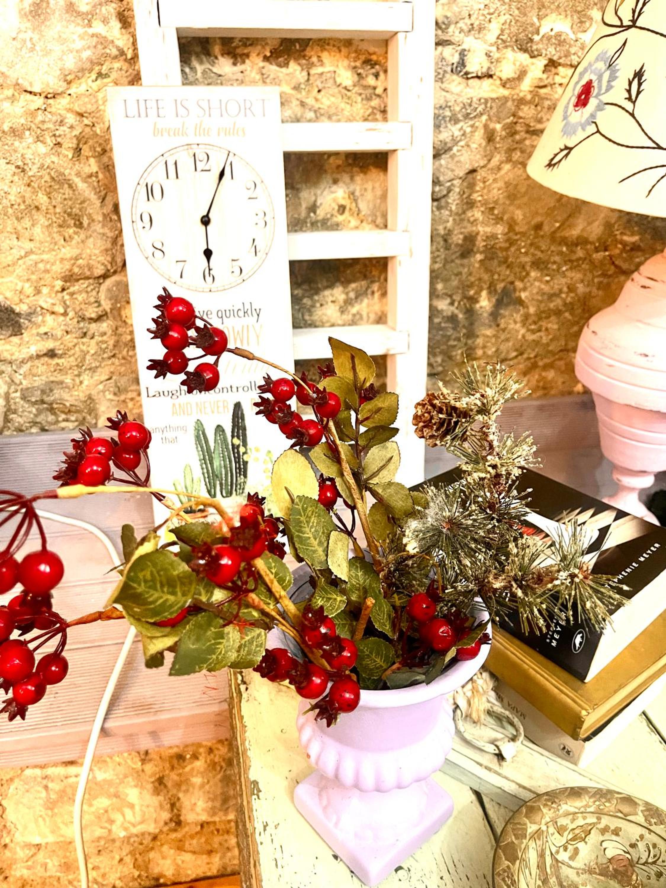 Holiday House Prodromos