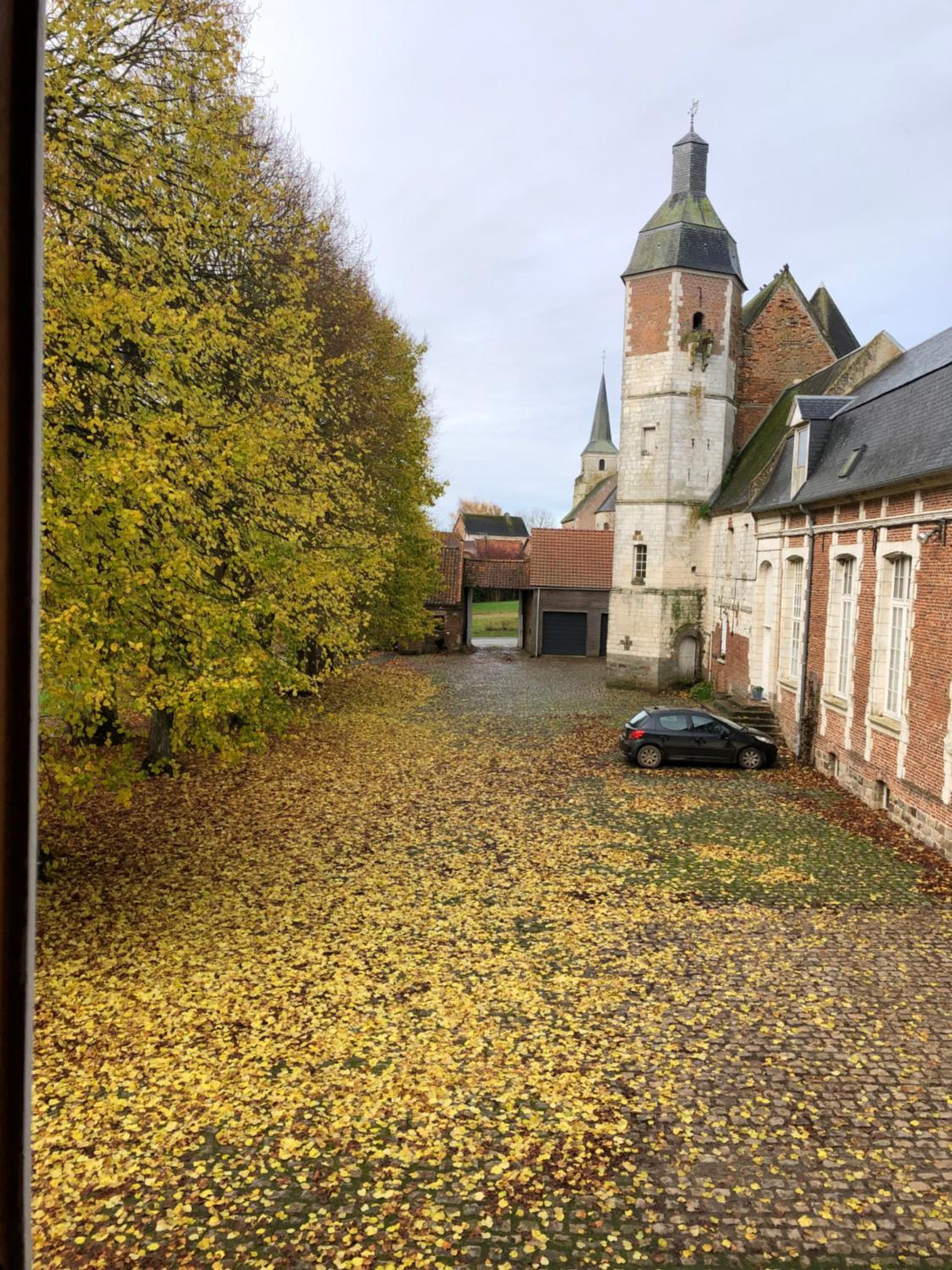 Photo 15