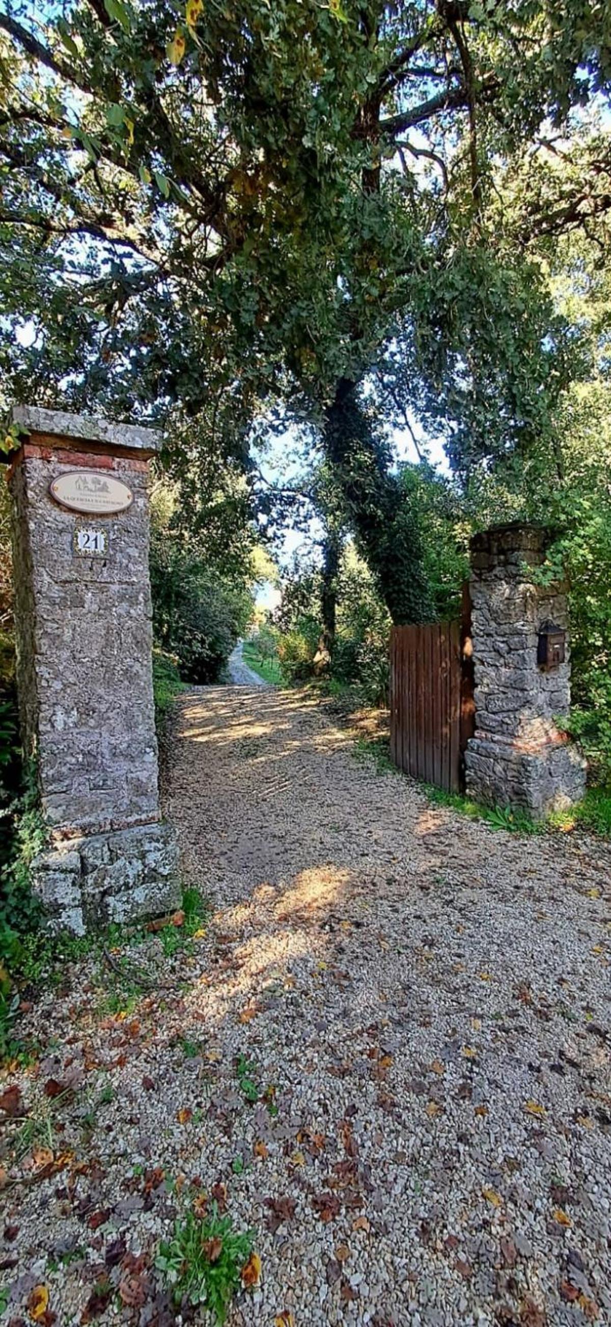 Photo 47