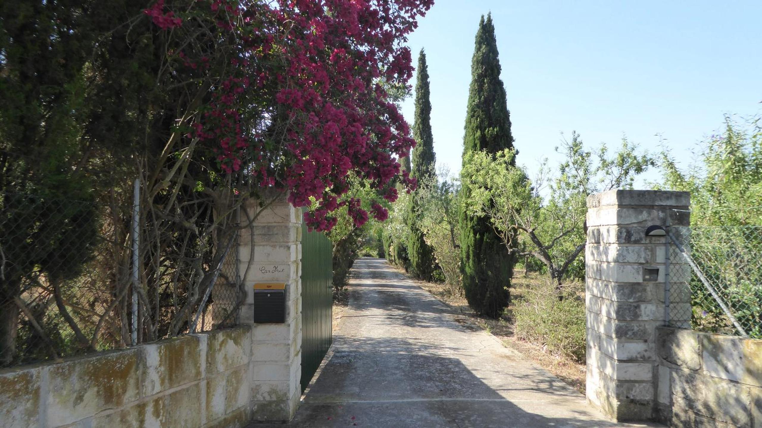 Ideal Property Mallorca - Cas Mut photo 3