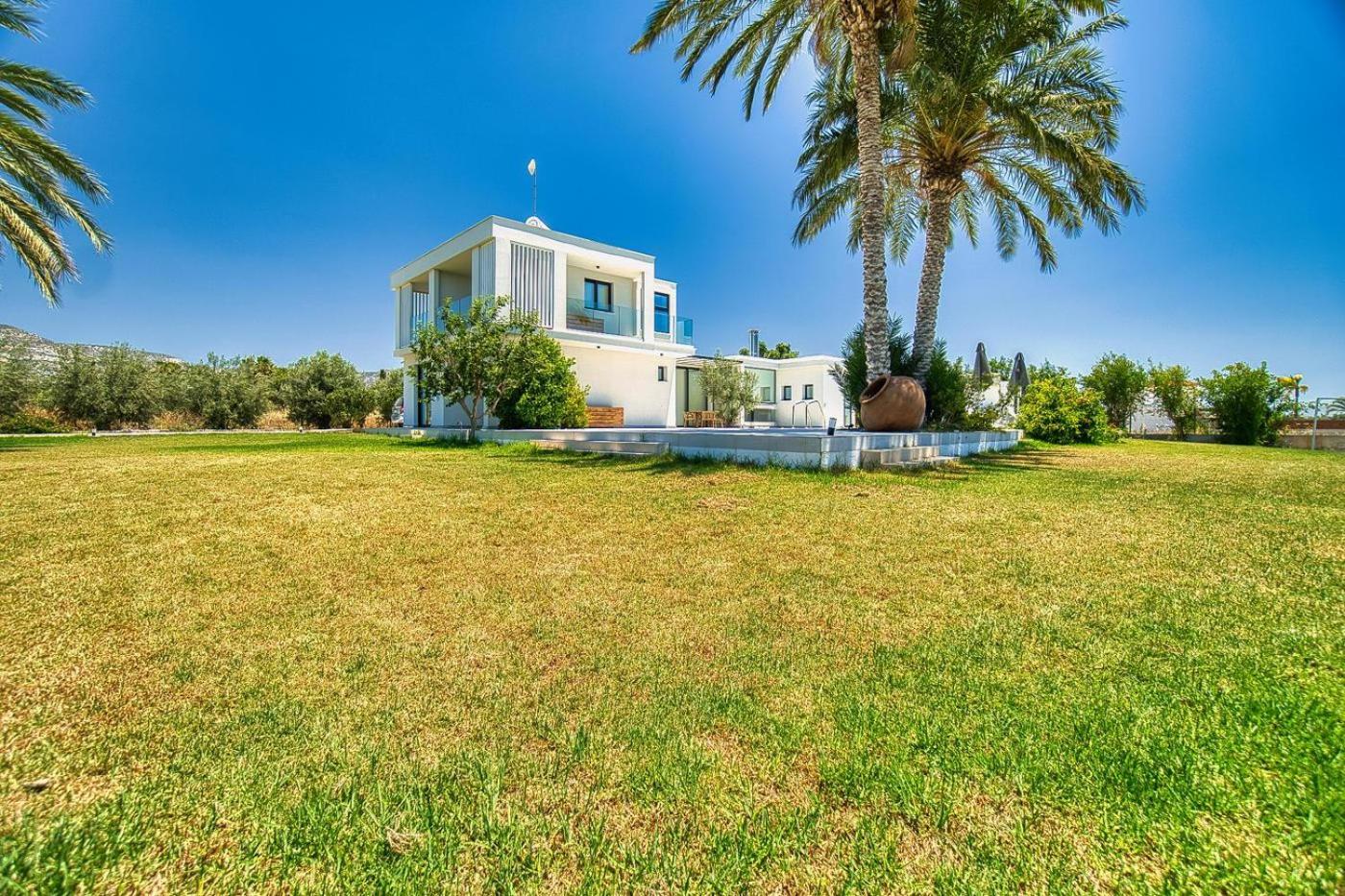 Luxury Oasis Villa