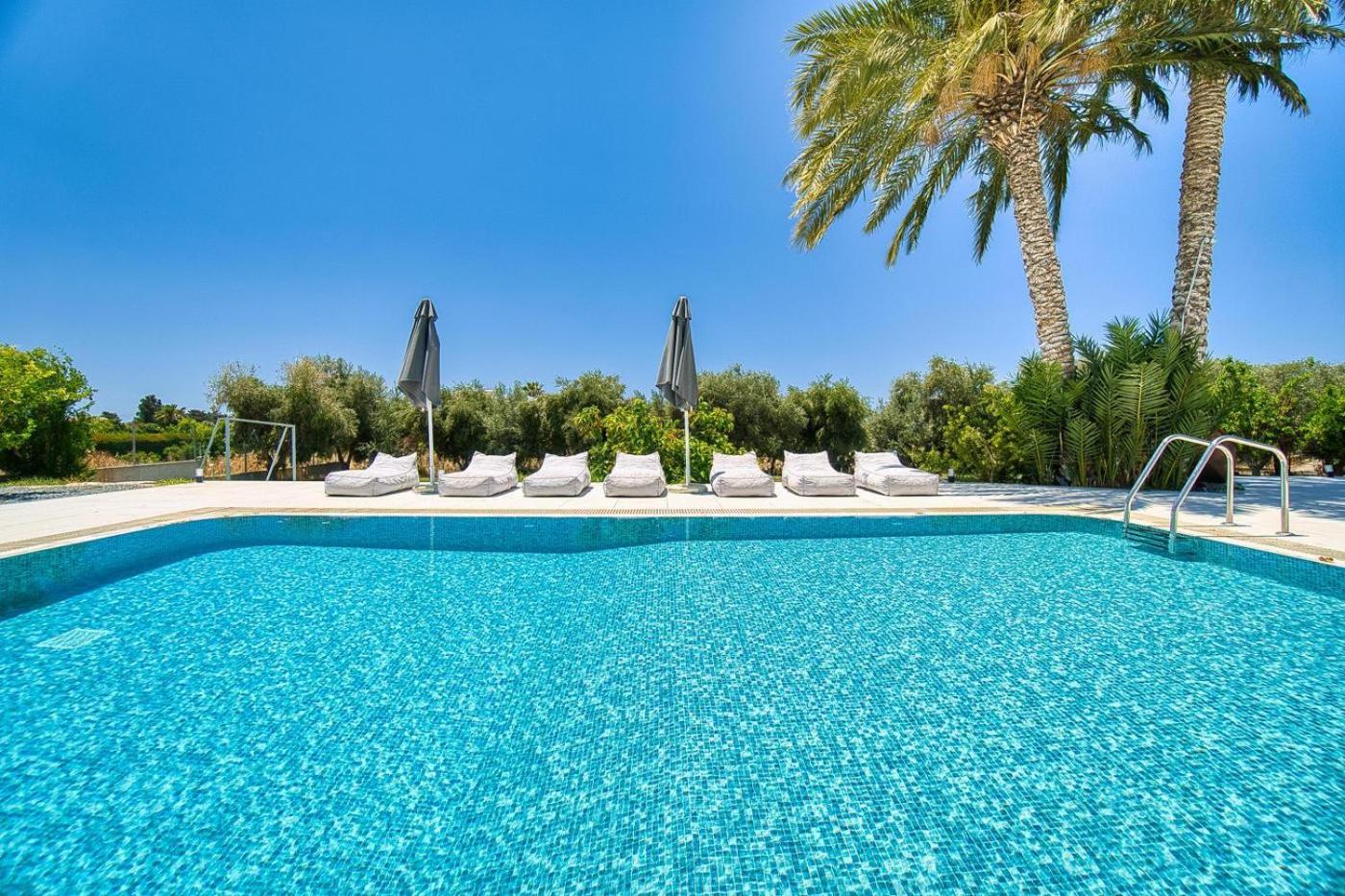 Luxury Oasis Villa
