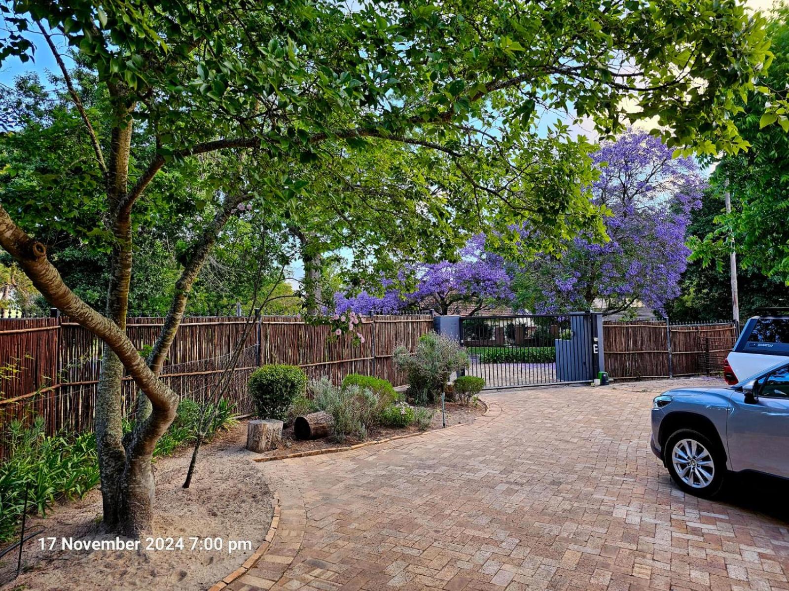 Stellenbosch Charm