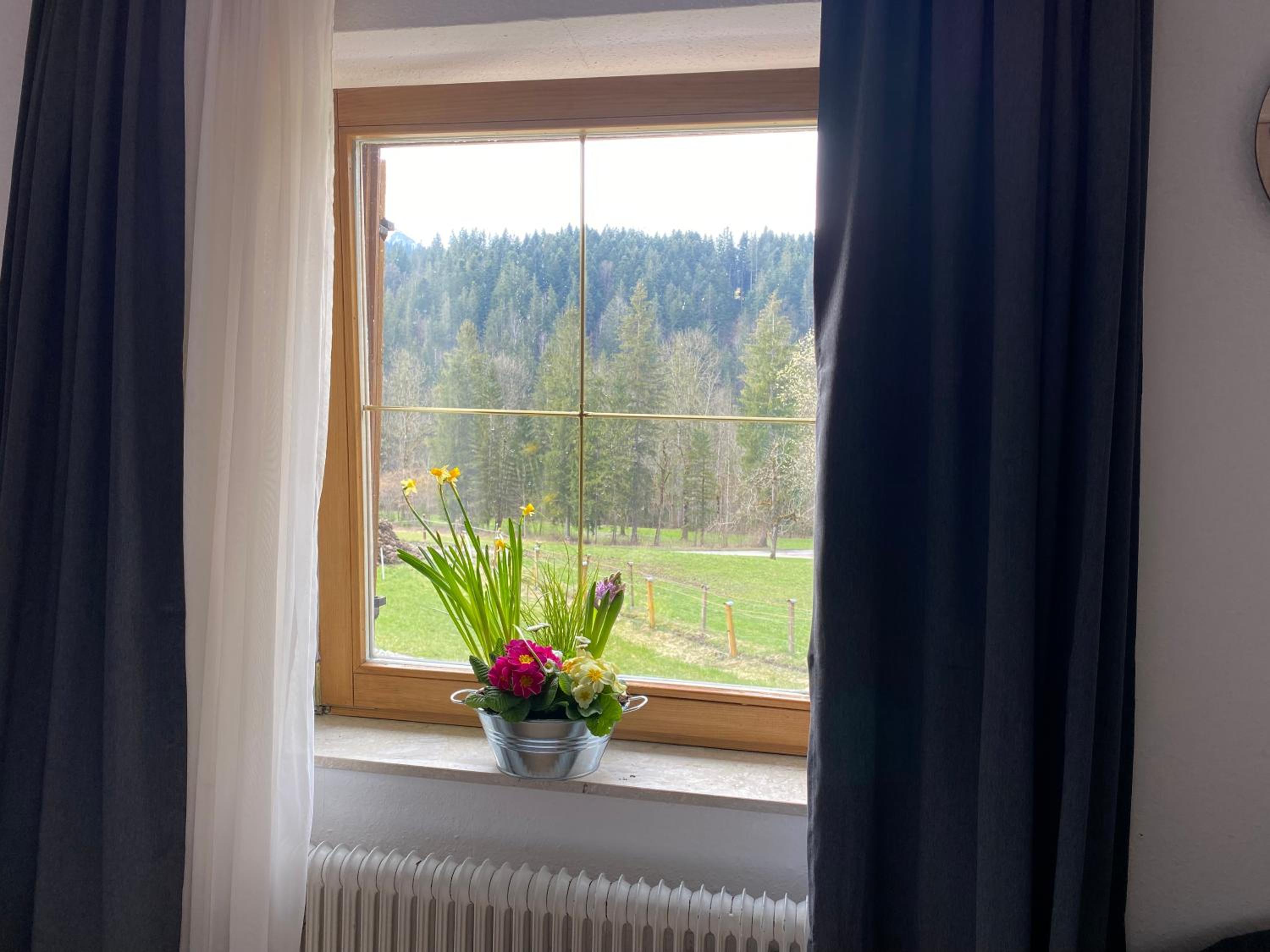 Haus Tanne Abtenau