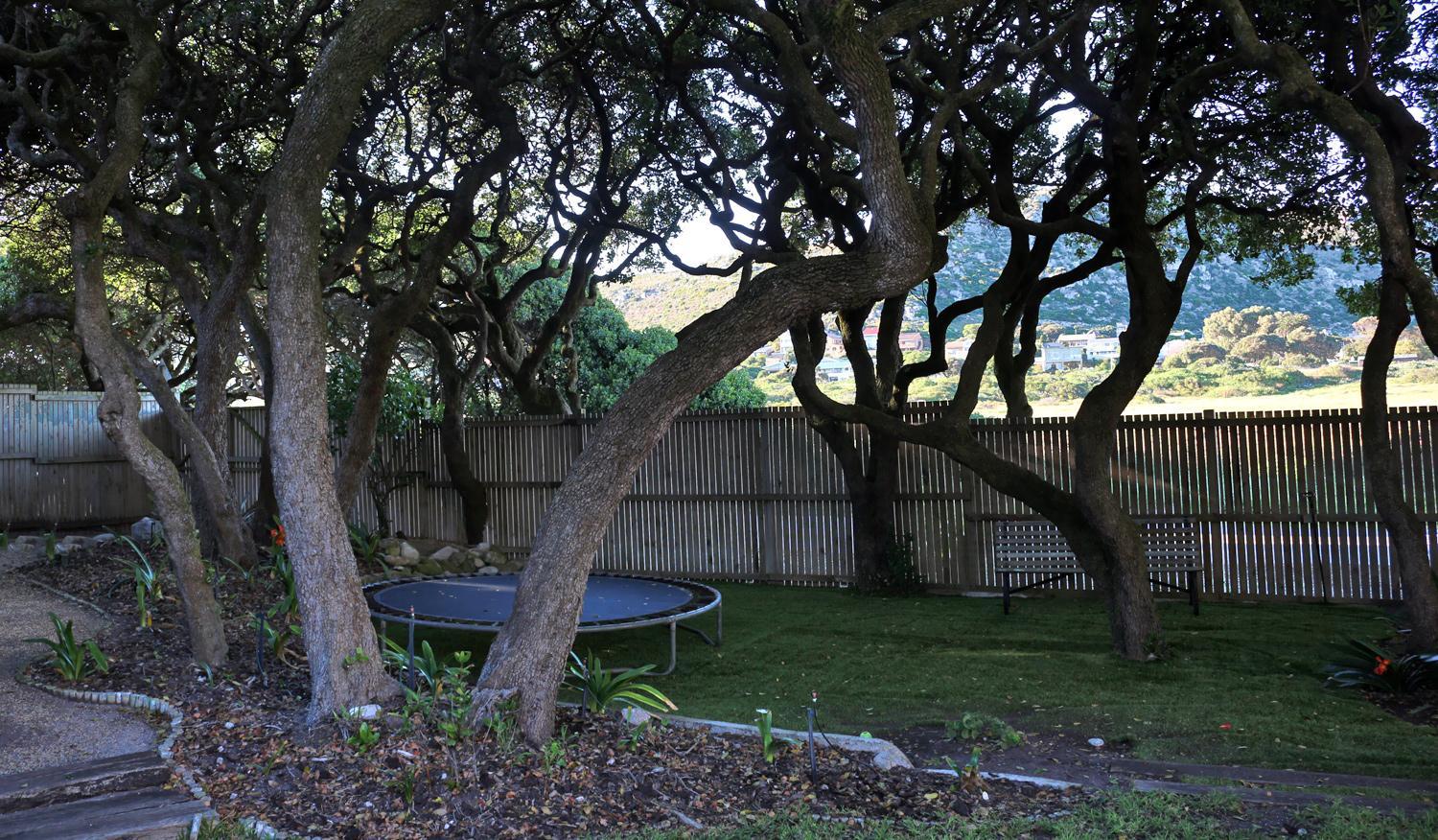 In a Forest by the Sea view 5