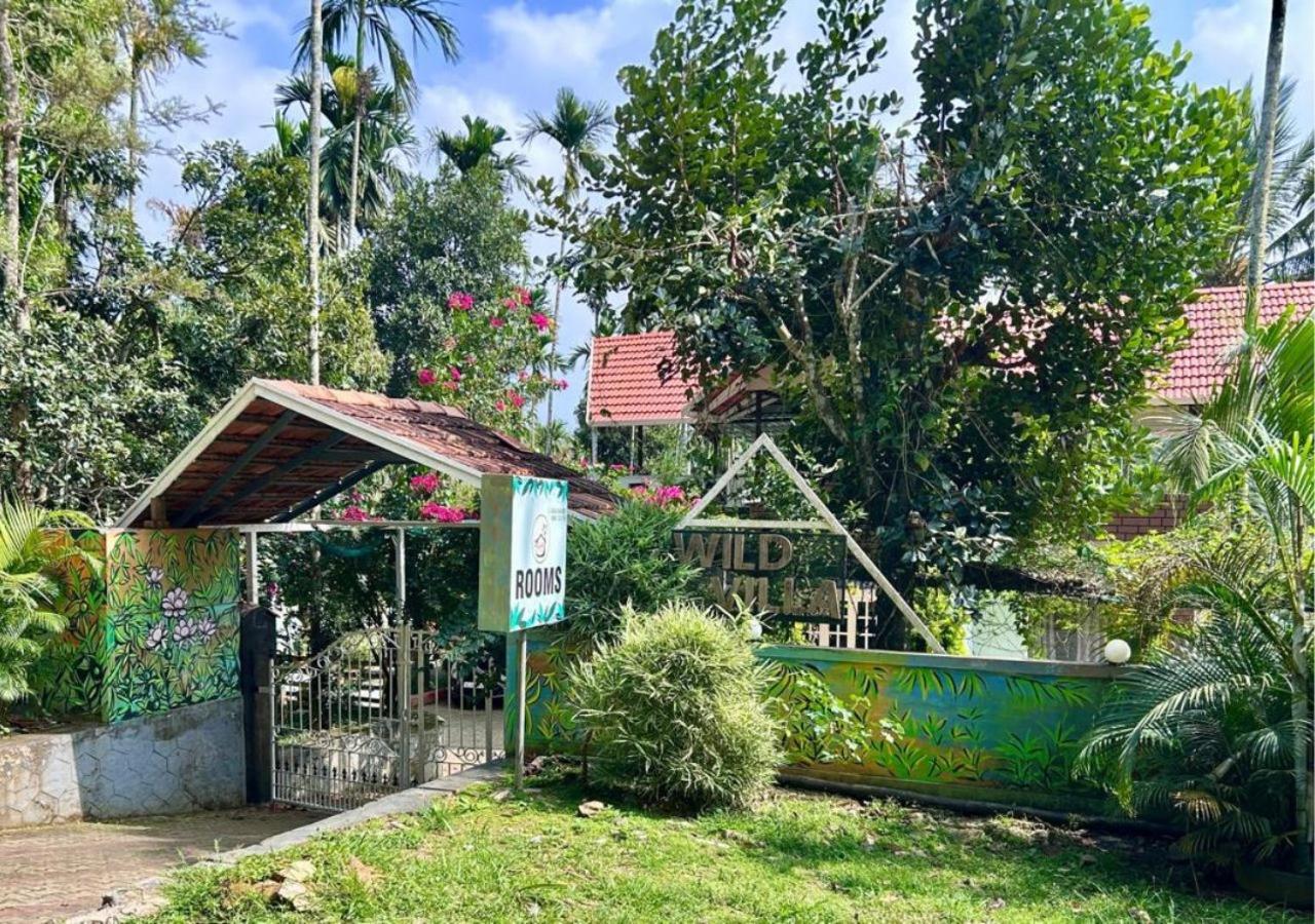Wild Villa Homestay view 4