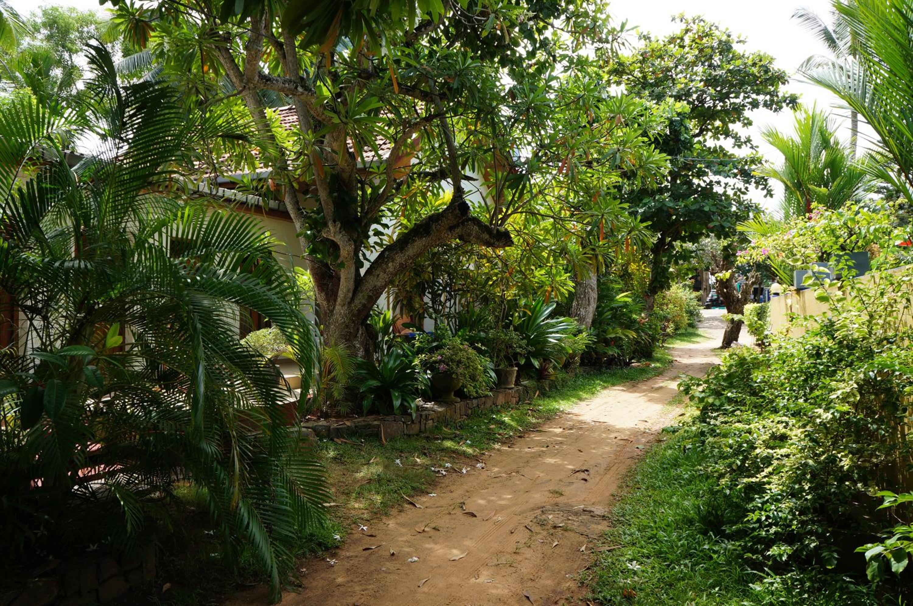 Photo 7