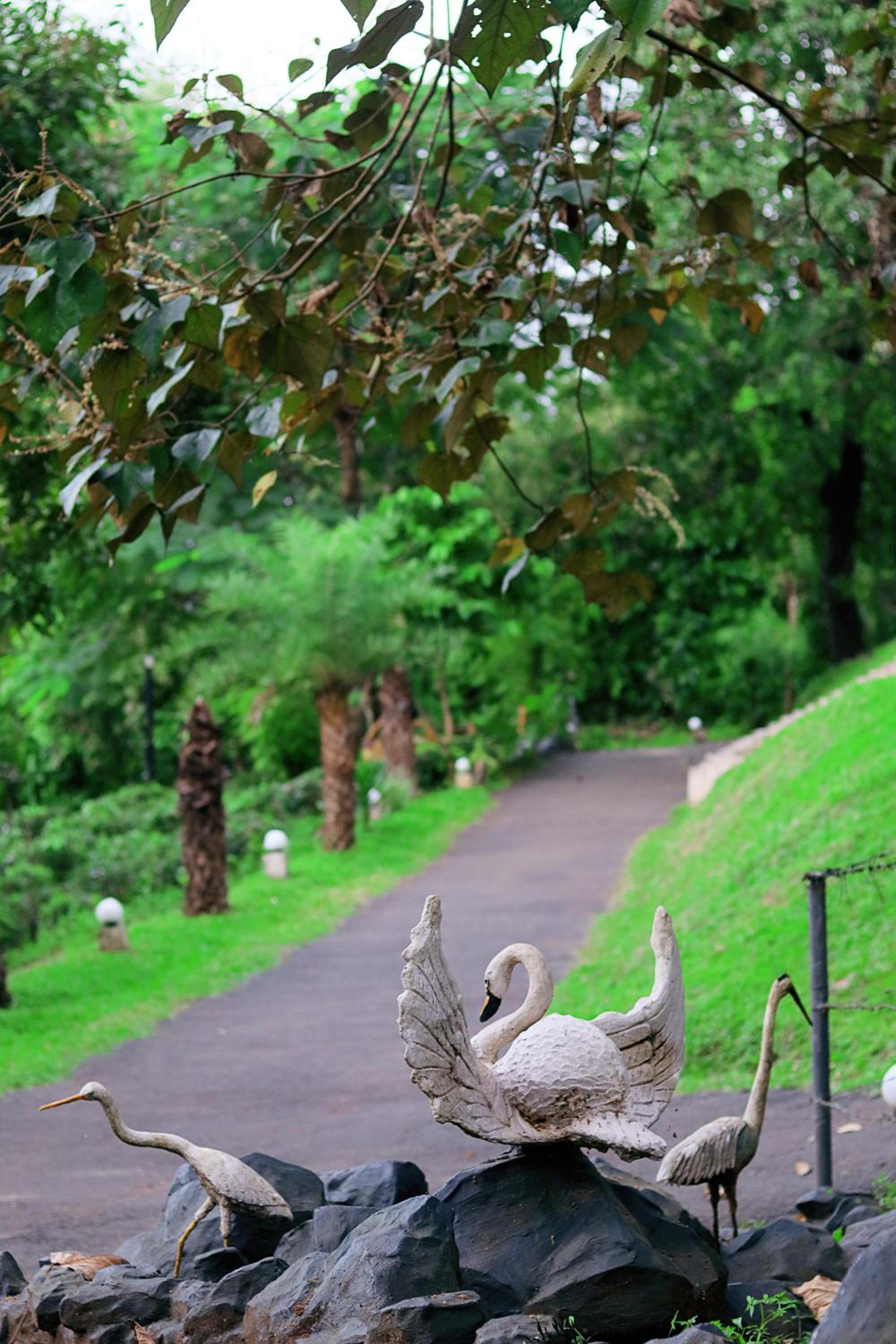 Aditi Resort Vythiri