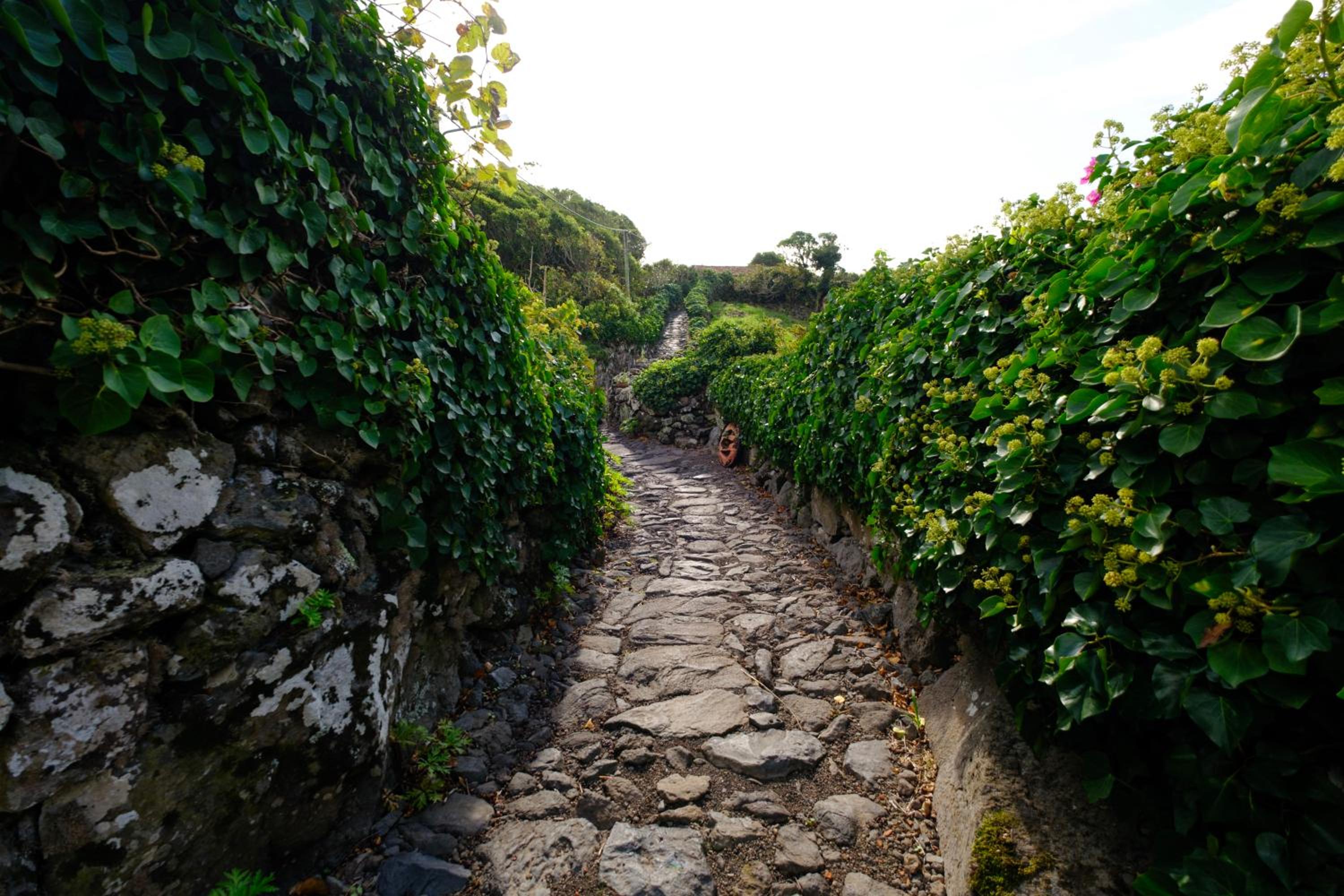 Aldeia da Cuada