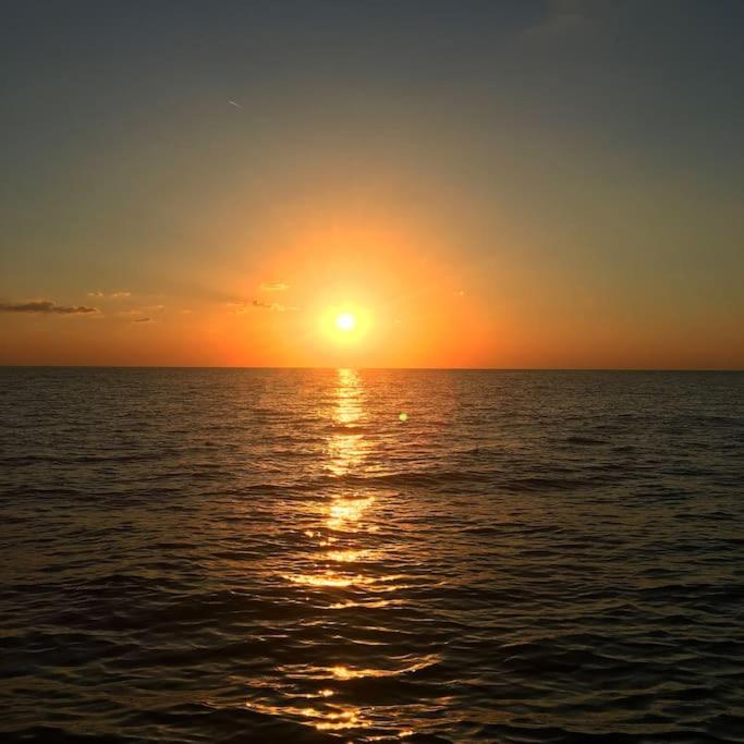 Photo 50