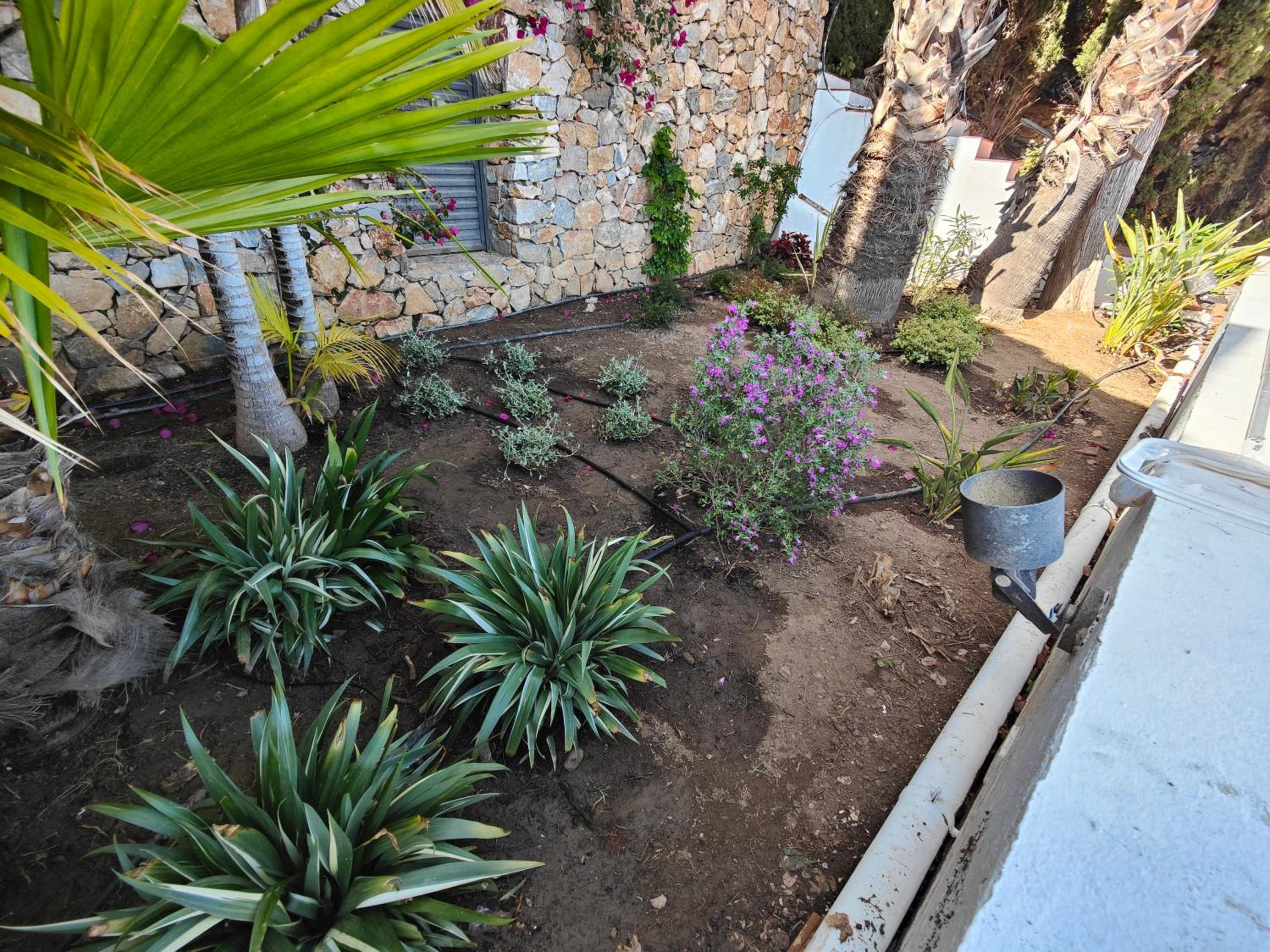 Only Adult Villa El Abanico