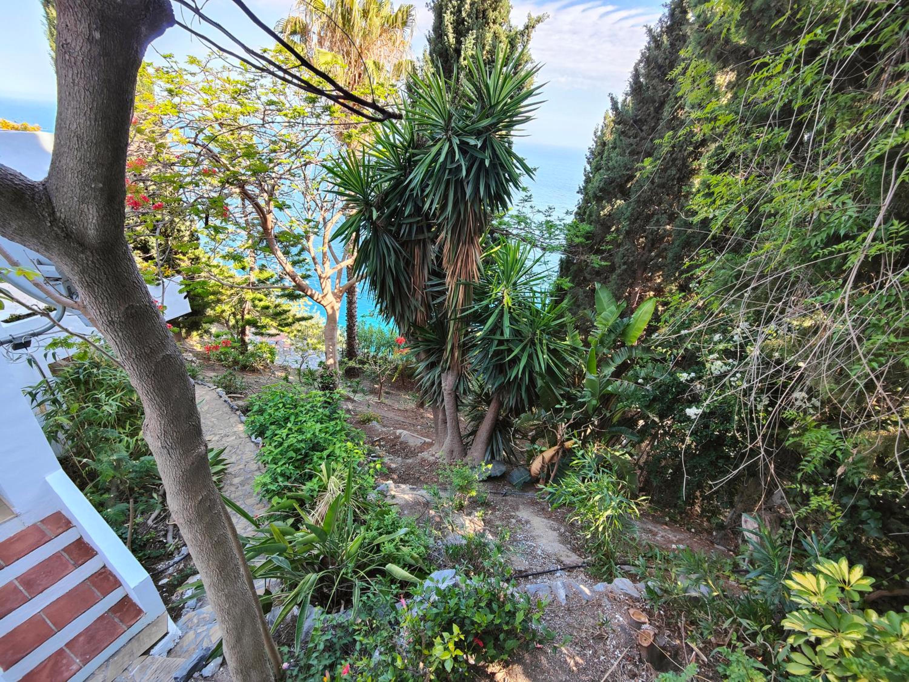 Only Adult Villa El Abanico