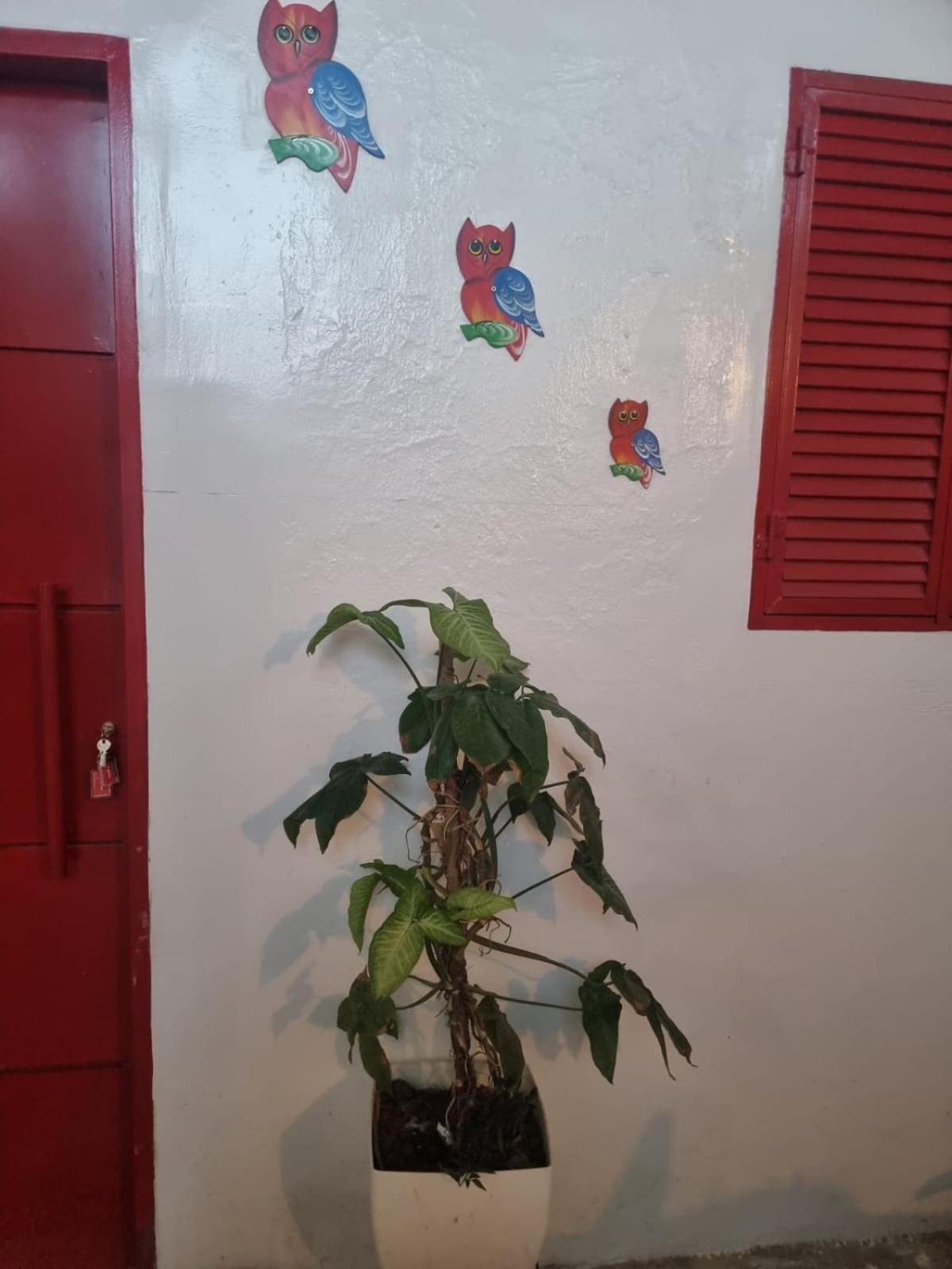Casa Cisalta N5 - Quarto Casal