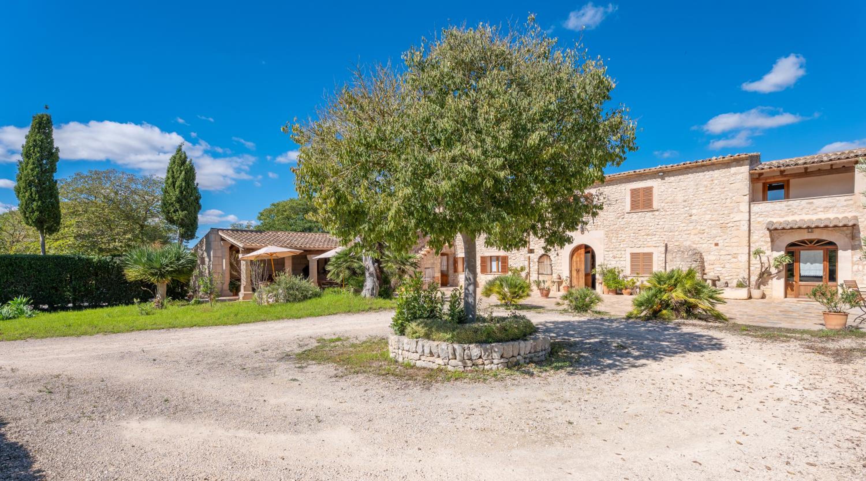 Photo 131